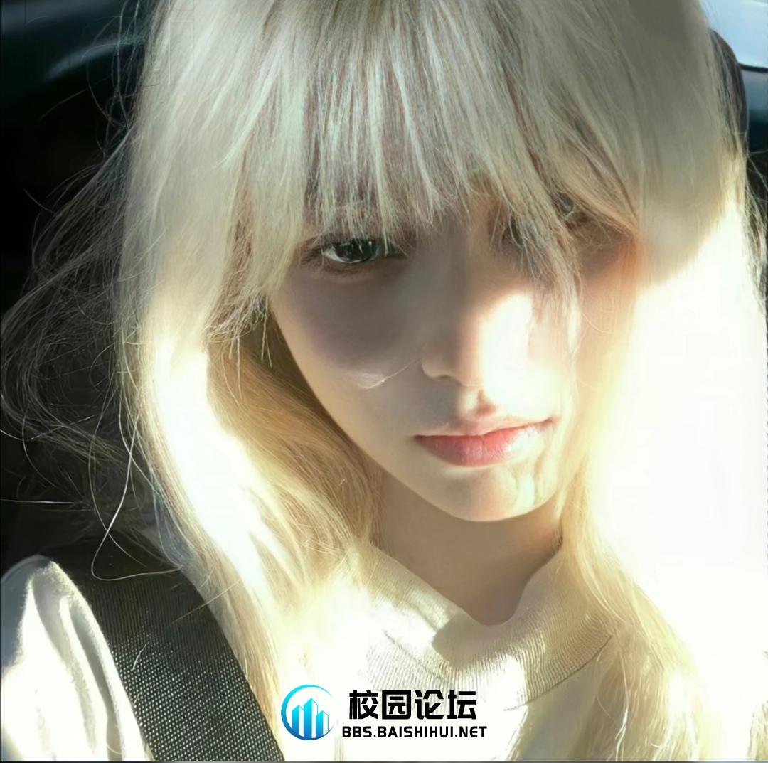 摆烂美术生.的头像 - 校园论坛