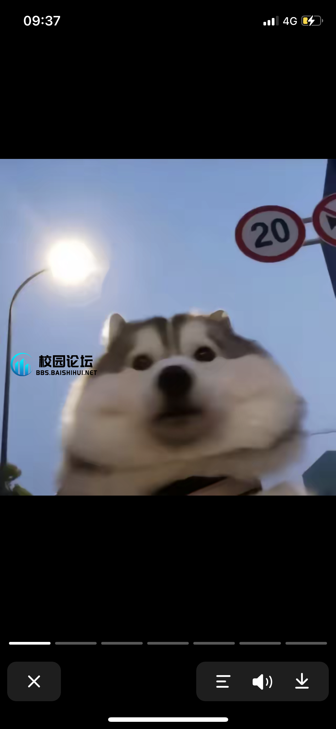 番茄鸡蛋的头像 - 校园论坛