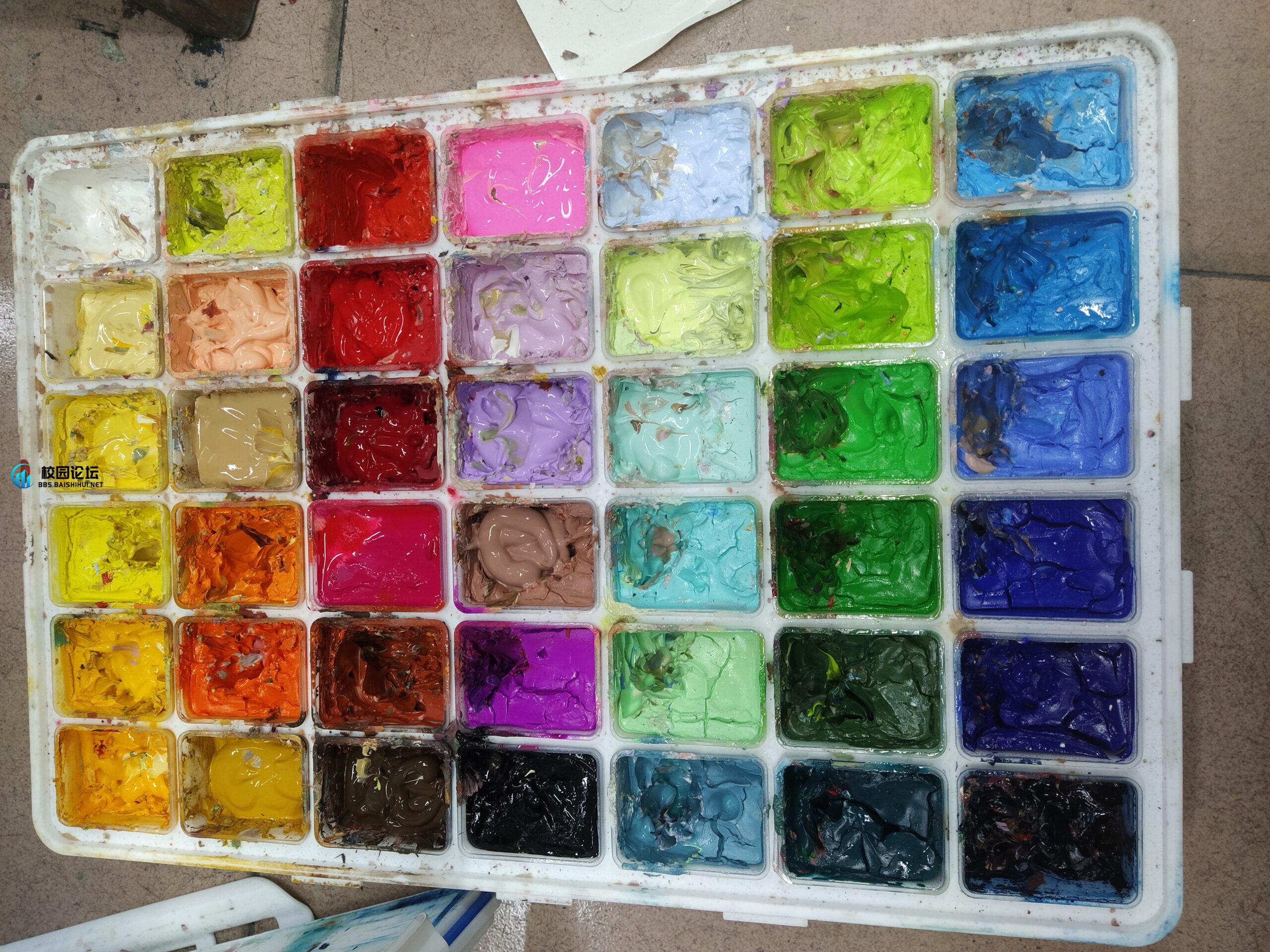 出这些 良心价 - 校园论坛