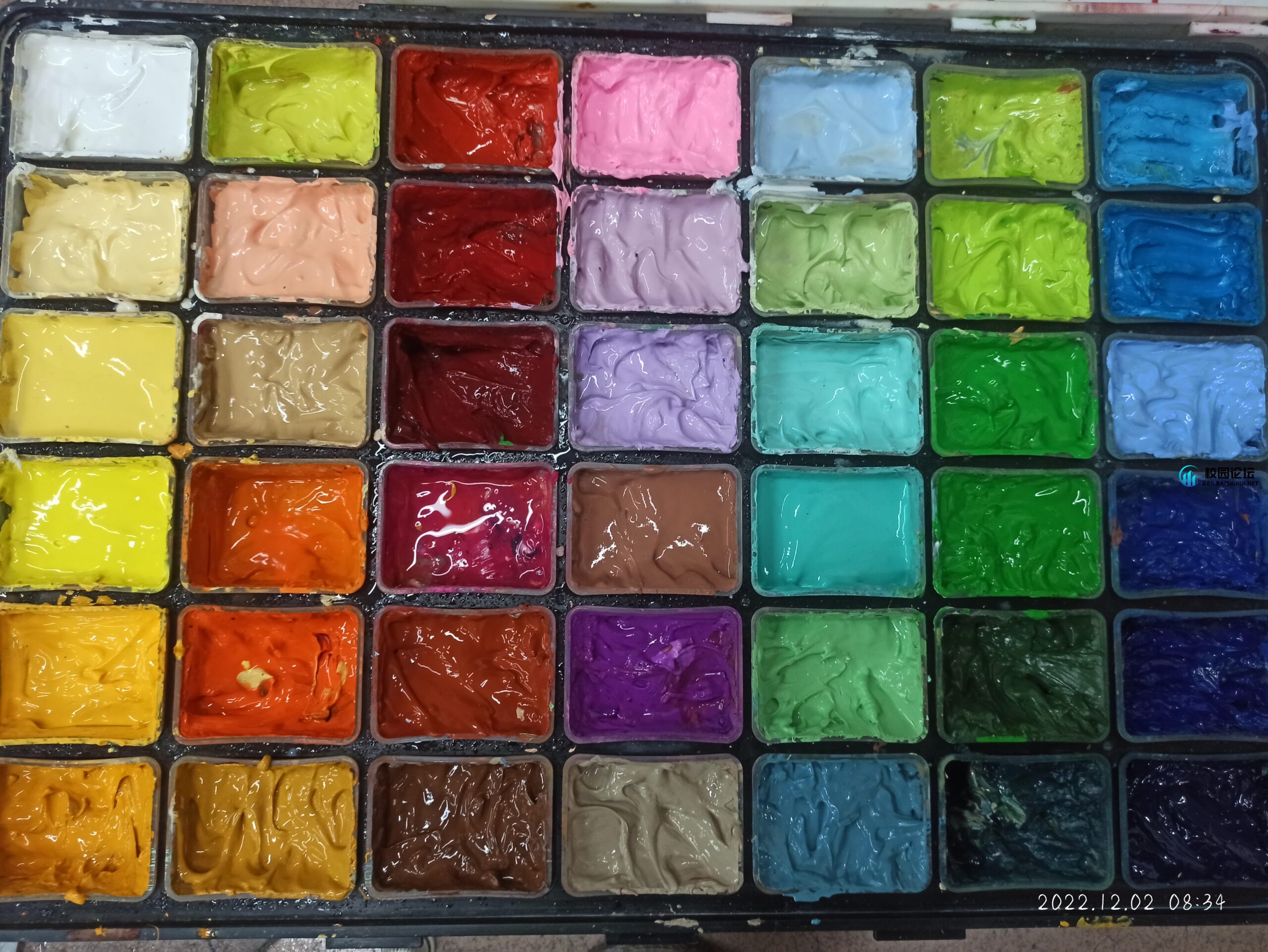 出颜料，赠品多多！ - 校园论坛