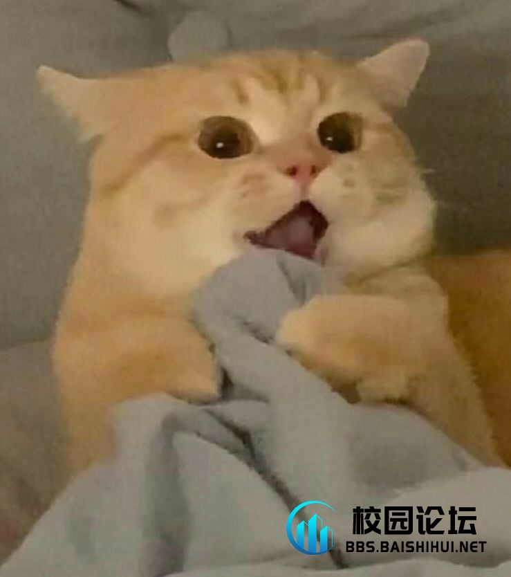 ꦿ叁柒 ໌້ᮨᥫᩣ - 校园论坛