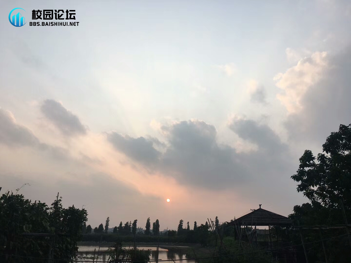 Cl2gu-/的头像 - 校园论坛