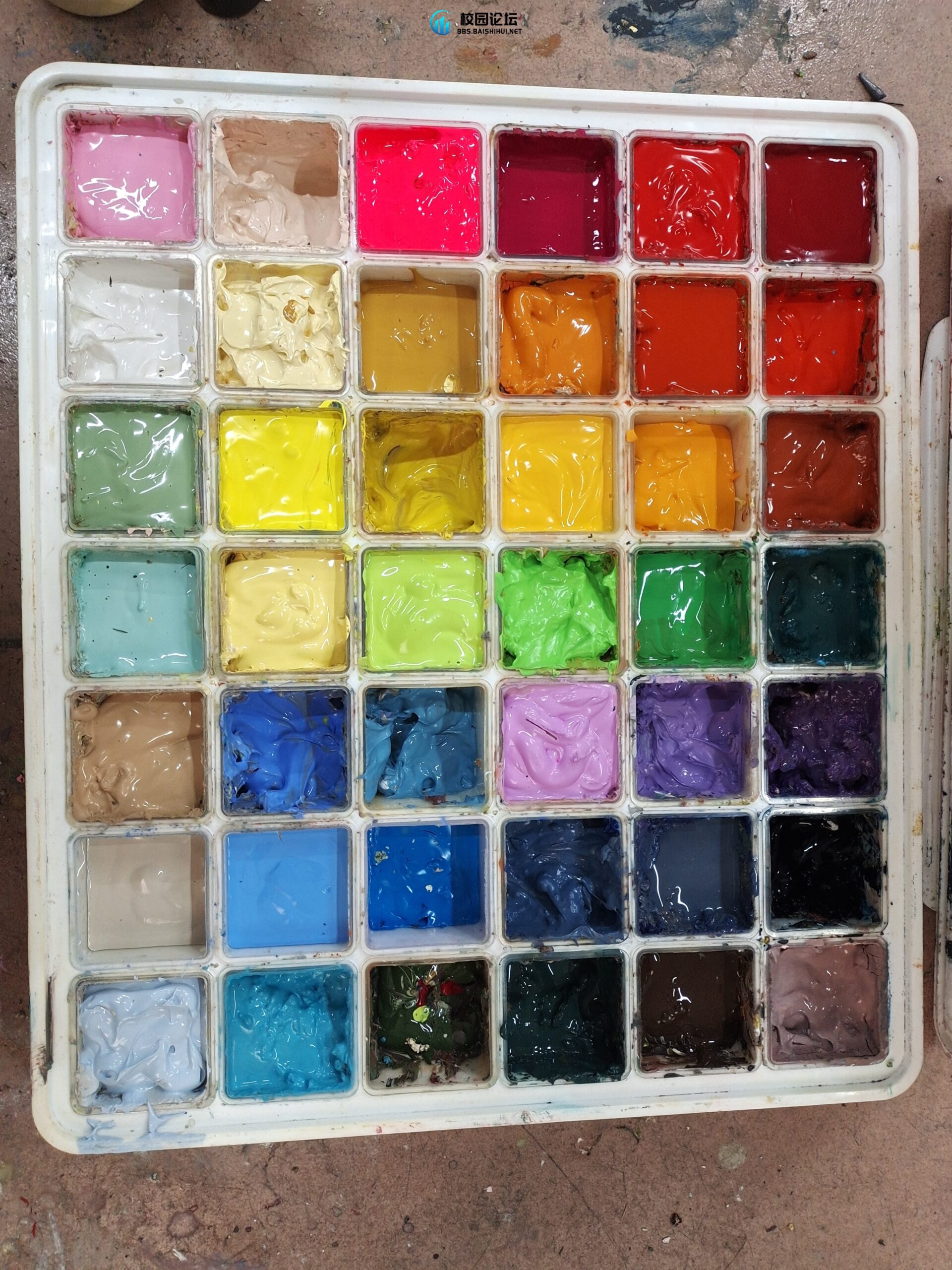 出颜料 - 校园论坛