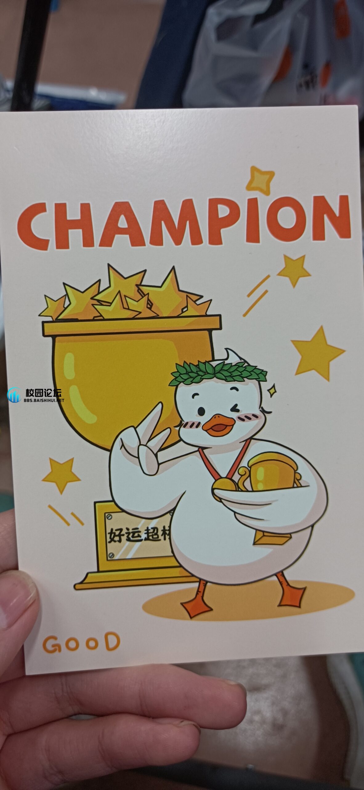 ®ZJAL®的头像 - 校园论坛