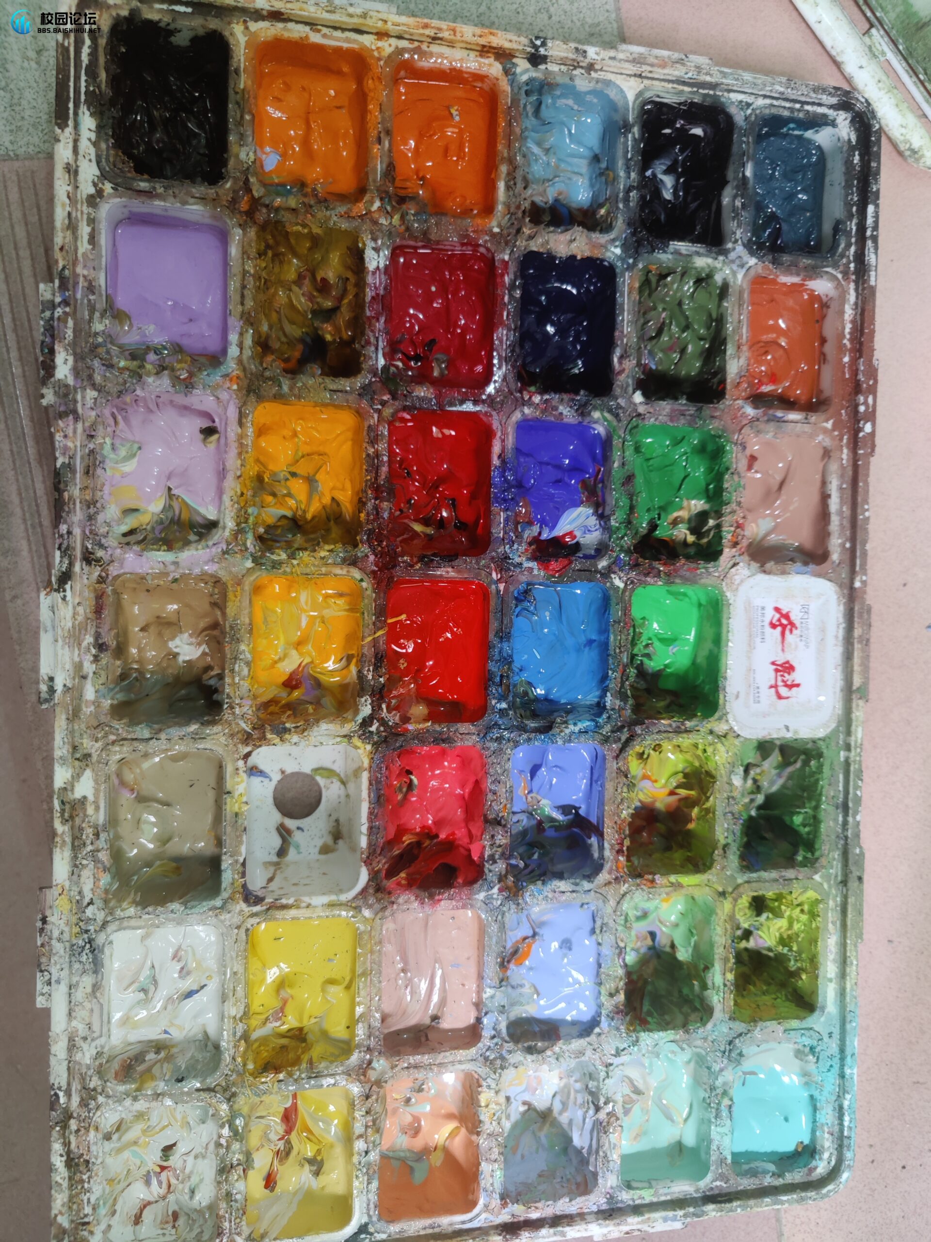 校园论坛 - 广宁百事汇