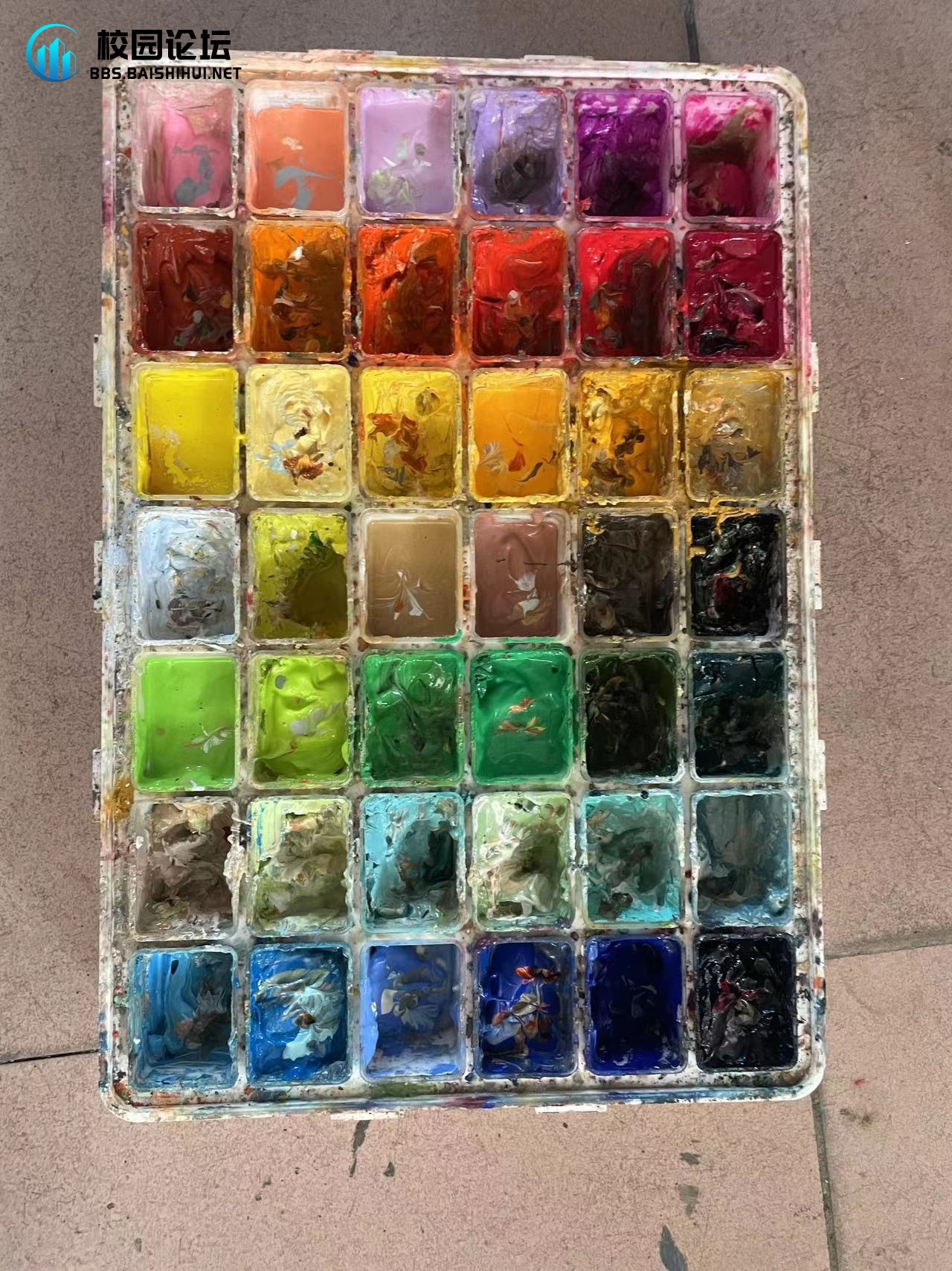 便宜颜料 - 校园论坛
