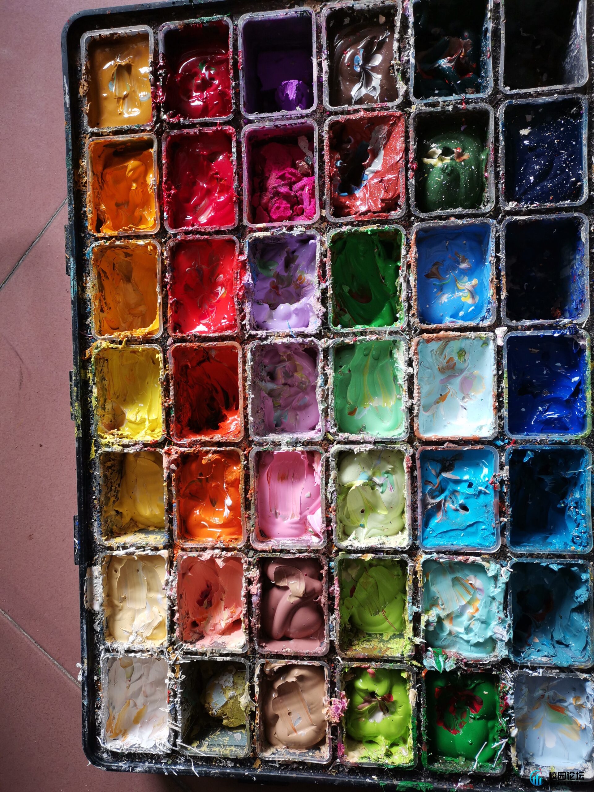 校园论坛 - 广宁百事汇