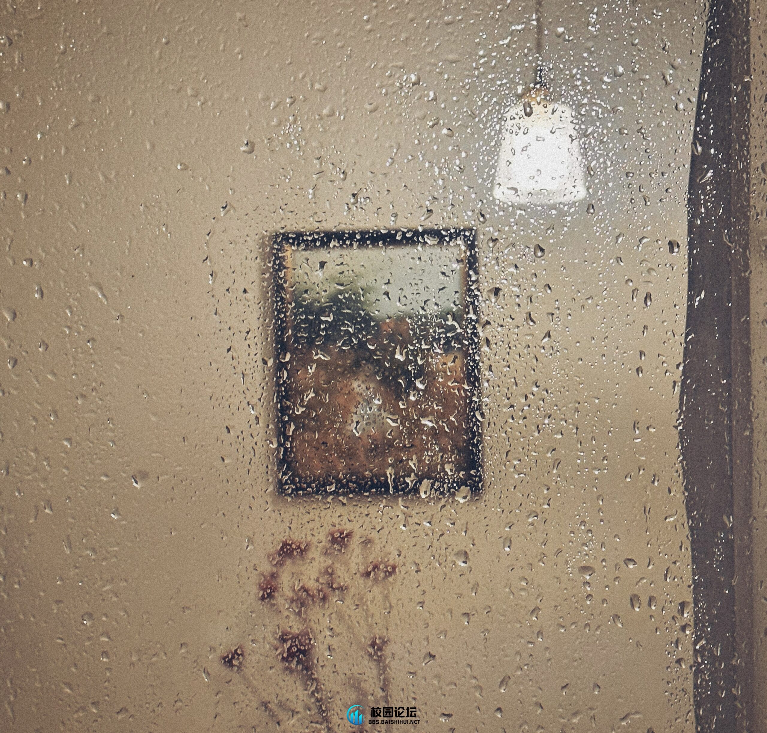 “万千灯盏，都不是归处。” - 校园论坛