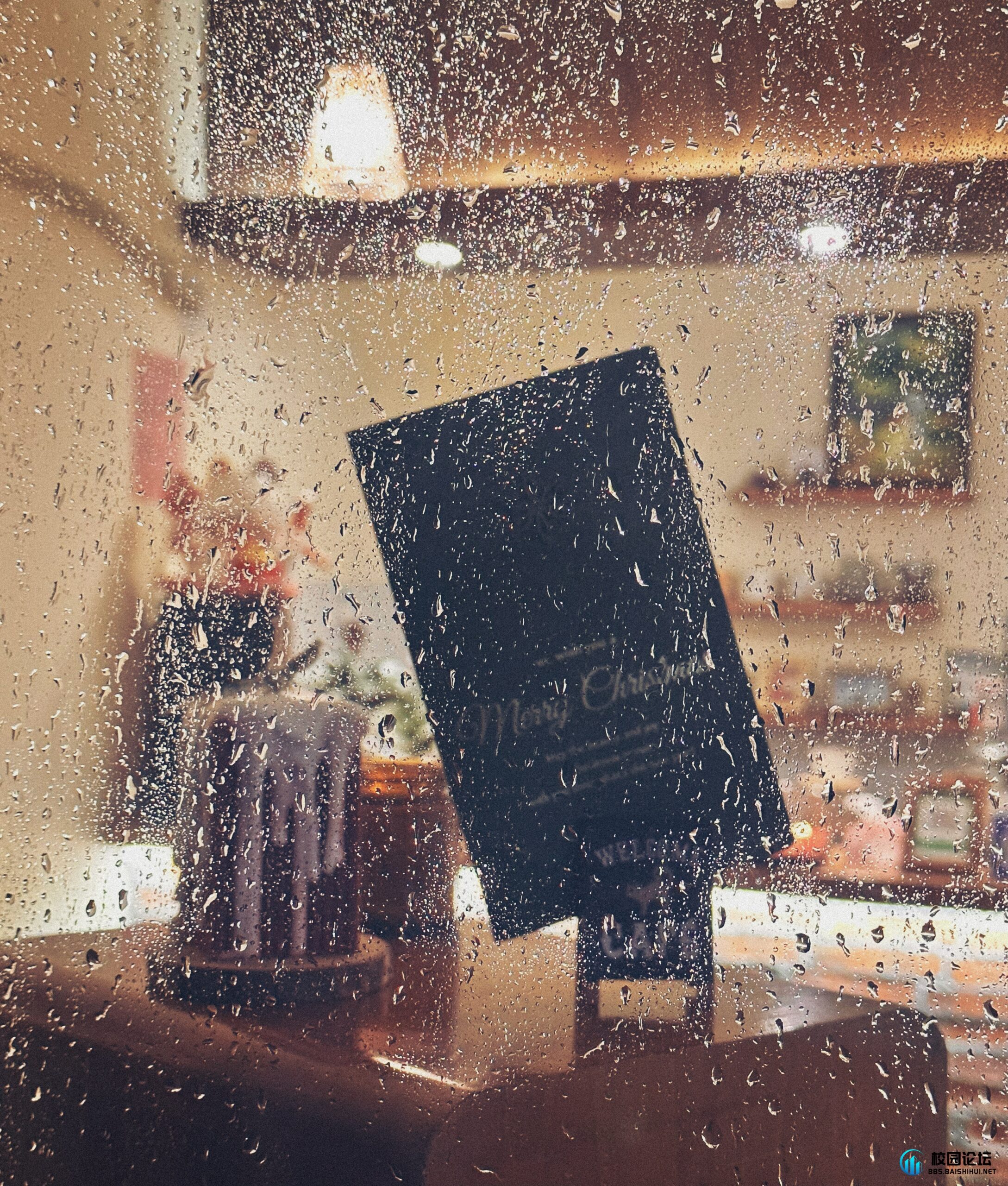 “万千灯盏，都不是归处。” - 校园论坛