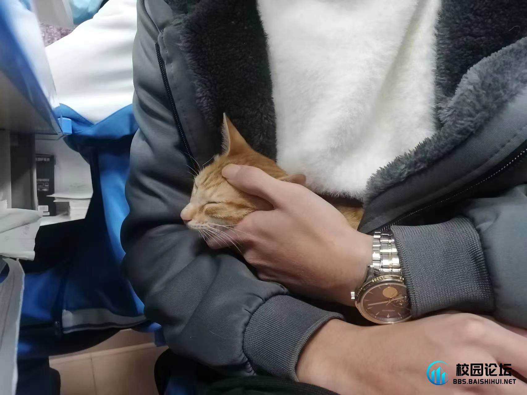 好乖，好可爱 - 校园论坛