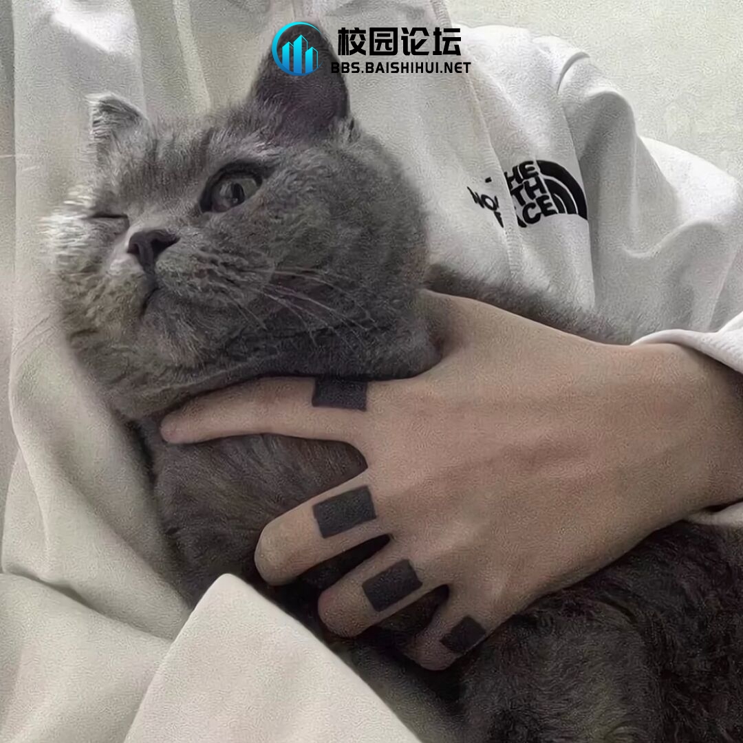 久伴的头像 - 校园论坛