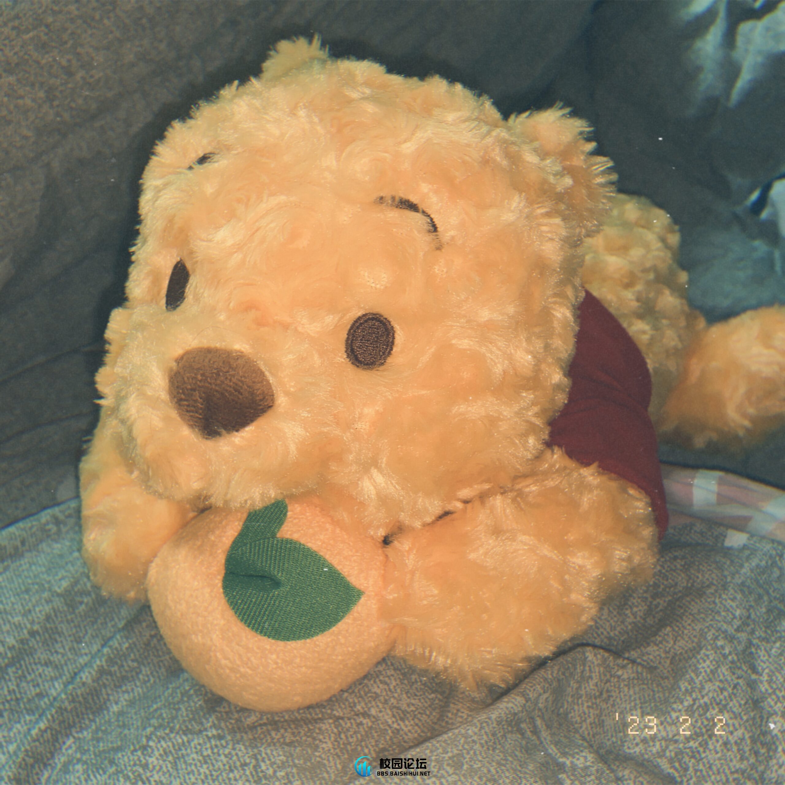 柚子 - 校园论坛