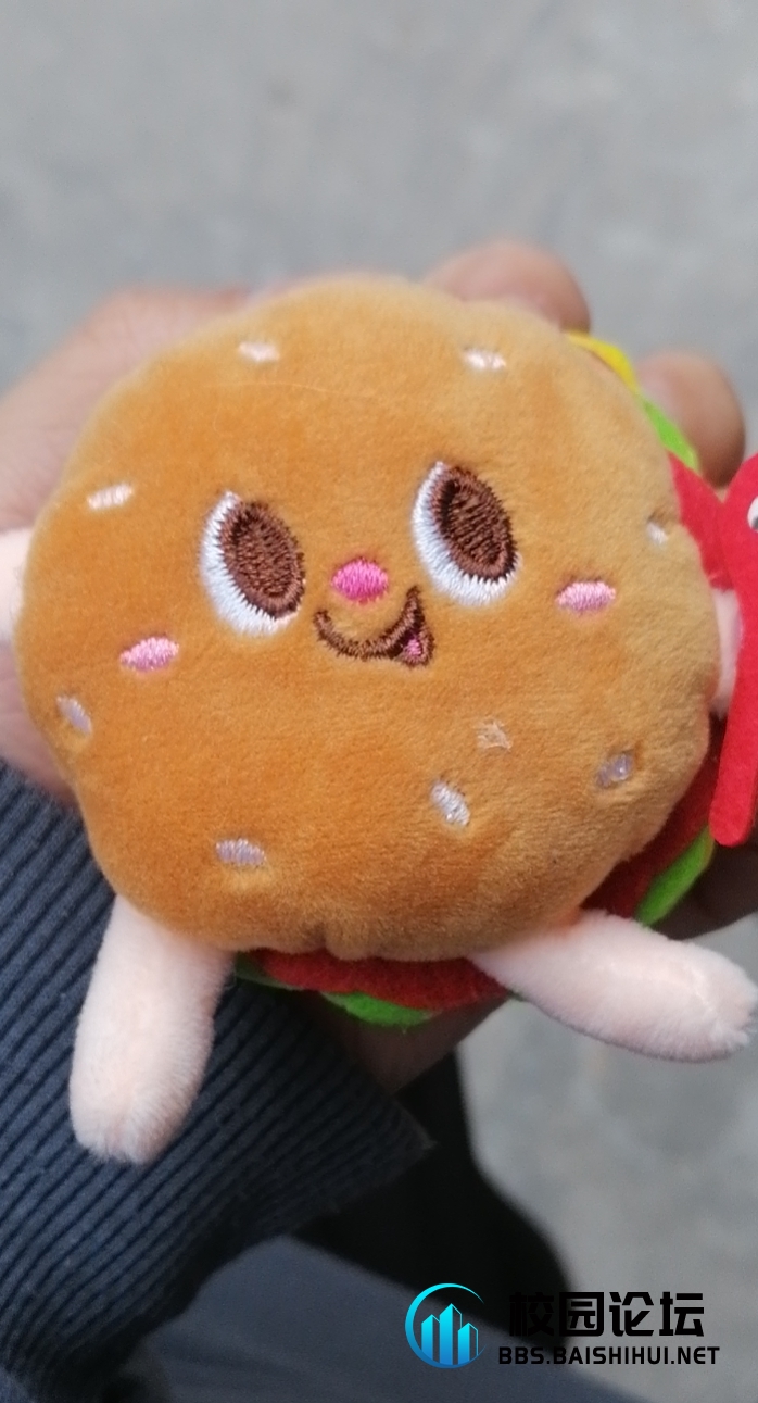 哪个烙铁今天在2号楼捡到了我的汉堡麻烦请还给我🤧 - 校园论坛