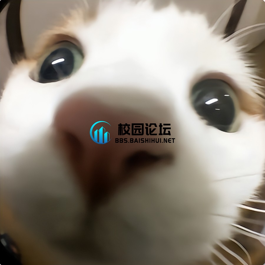 风在思念谁 - 校园论坛