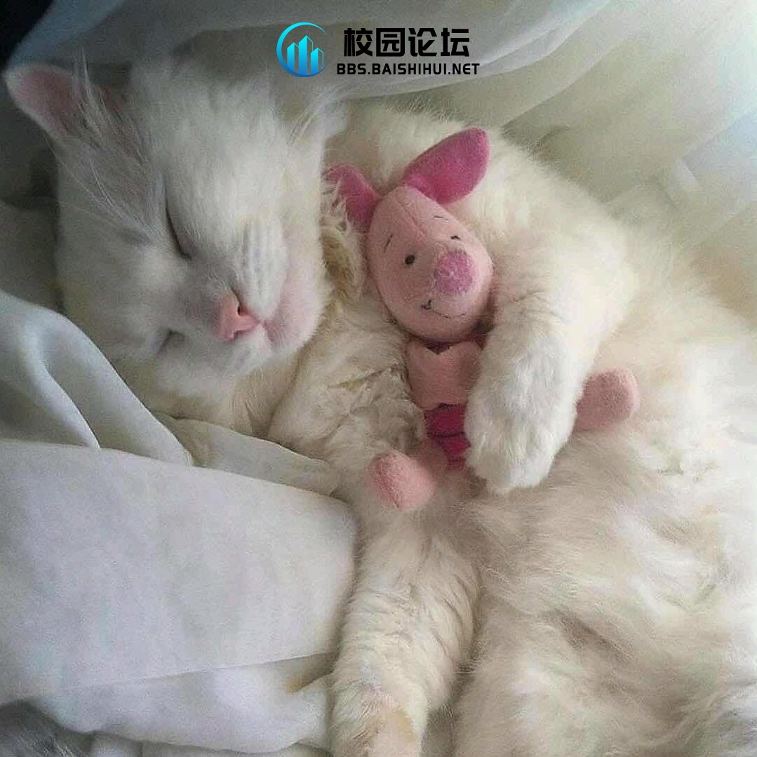 用户38699537 - 校园论坛