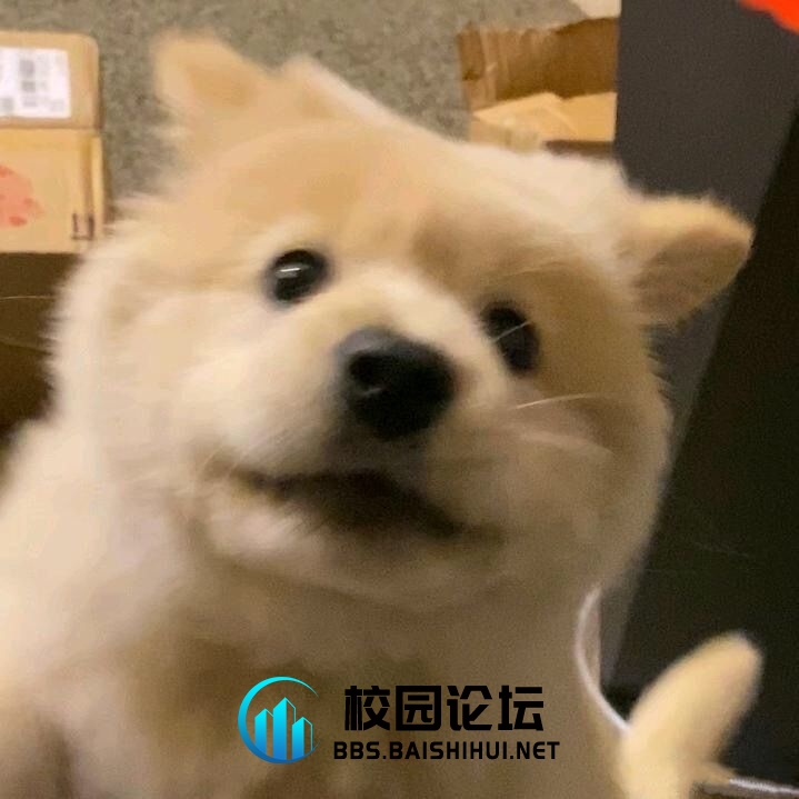 叭叭的头像 - 校园论坛