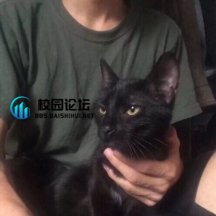 吃炸药乁的头像 - 校园论坛