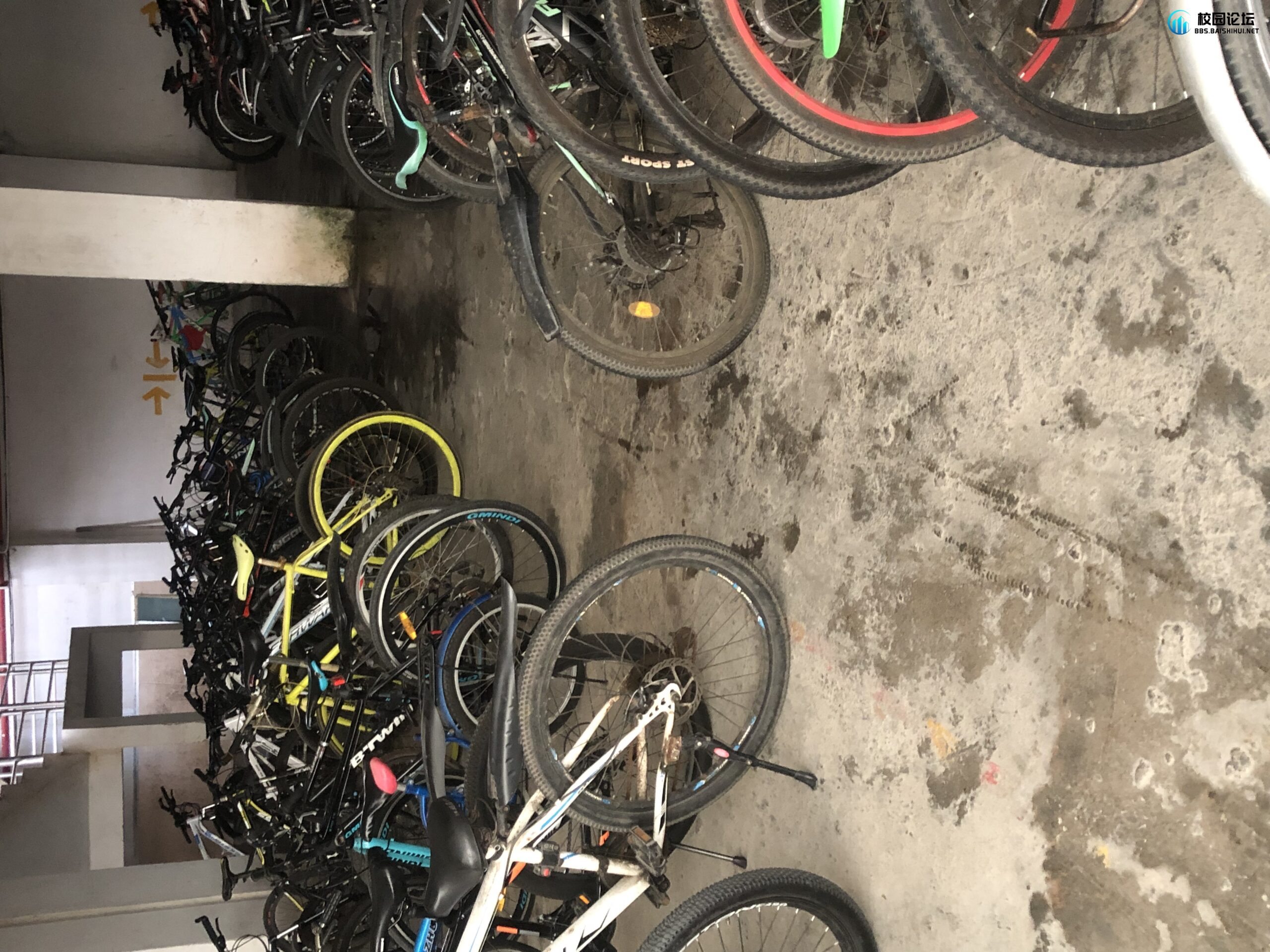 什么人都有！ - 校园论坛