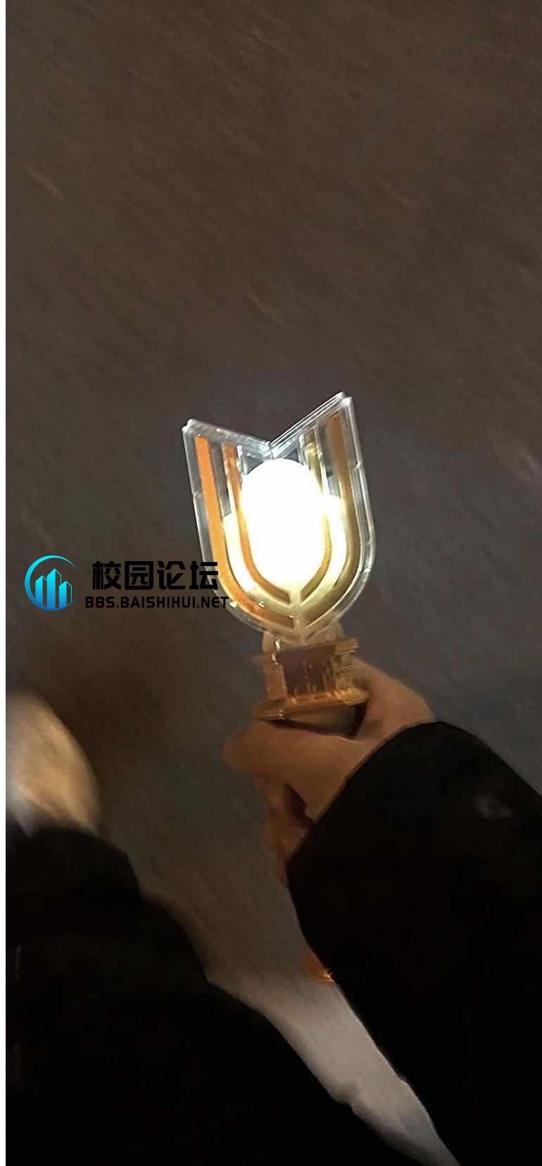 Little black的头像 - 校园论坛