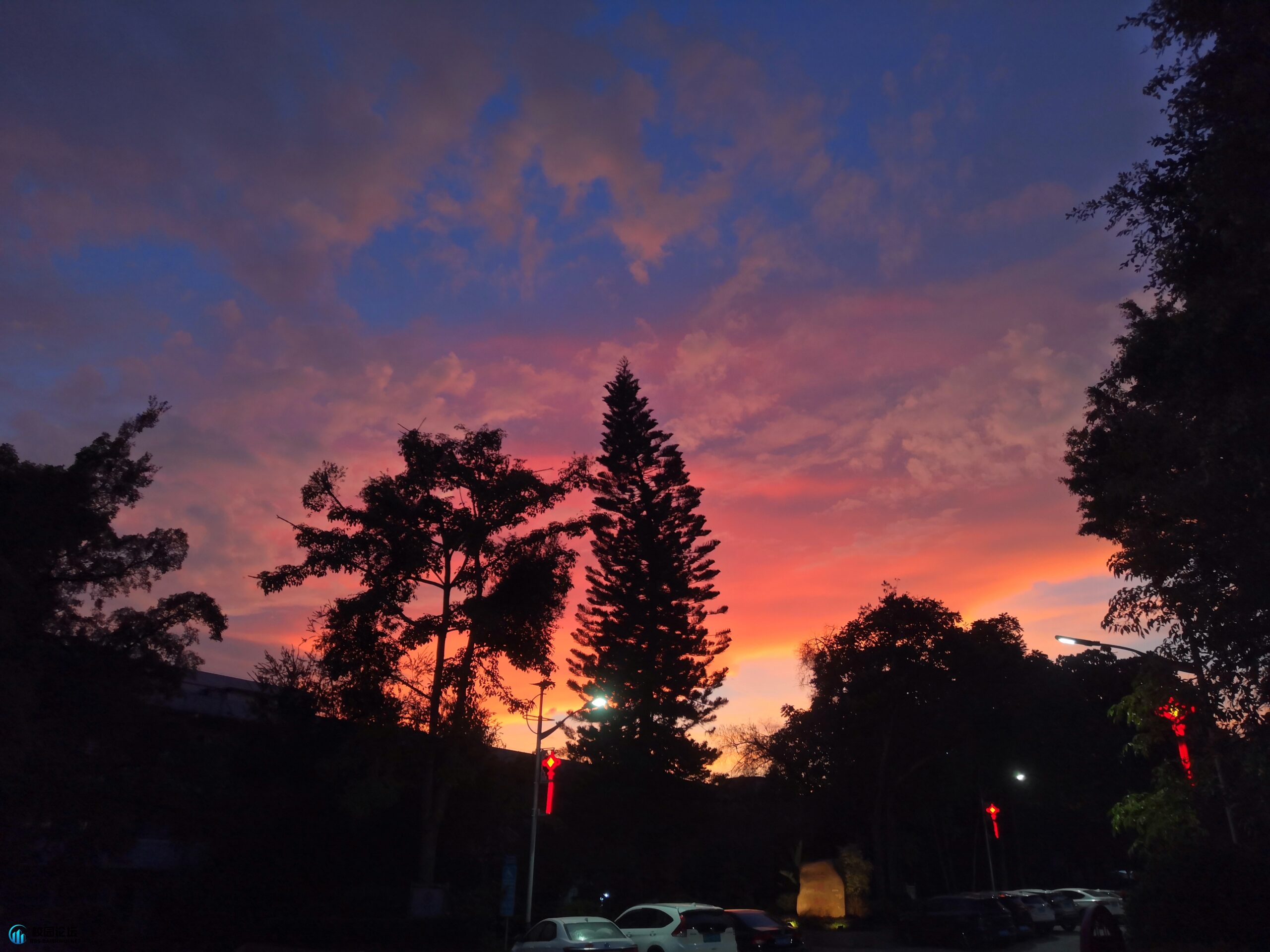 无语的头像 - 校园论坛