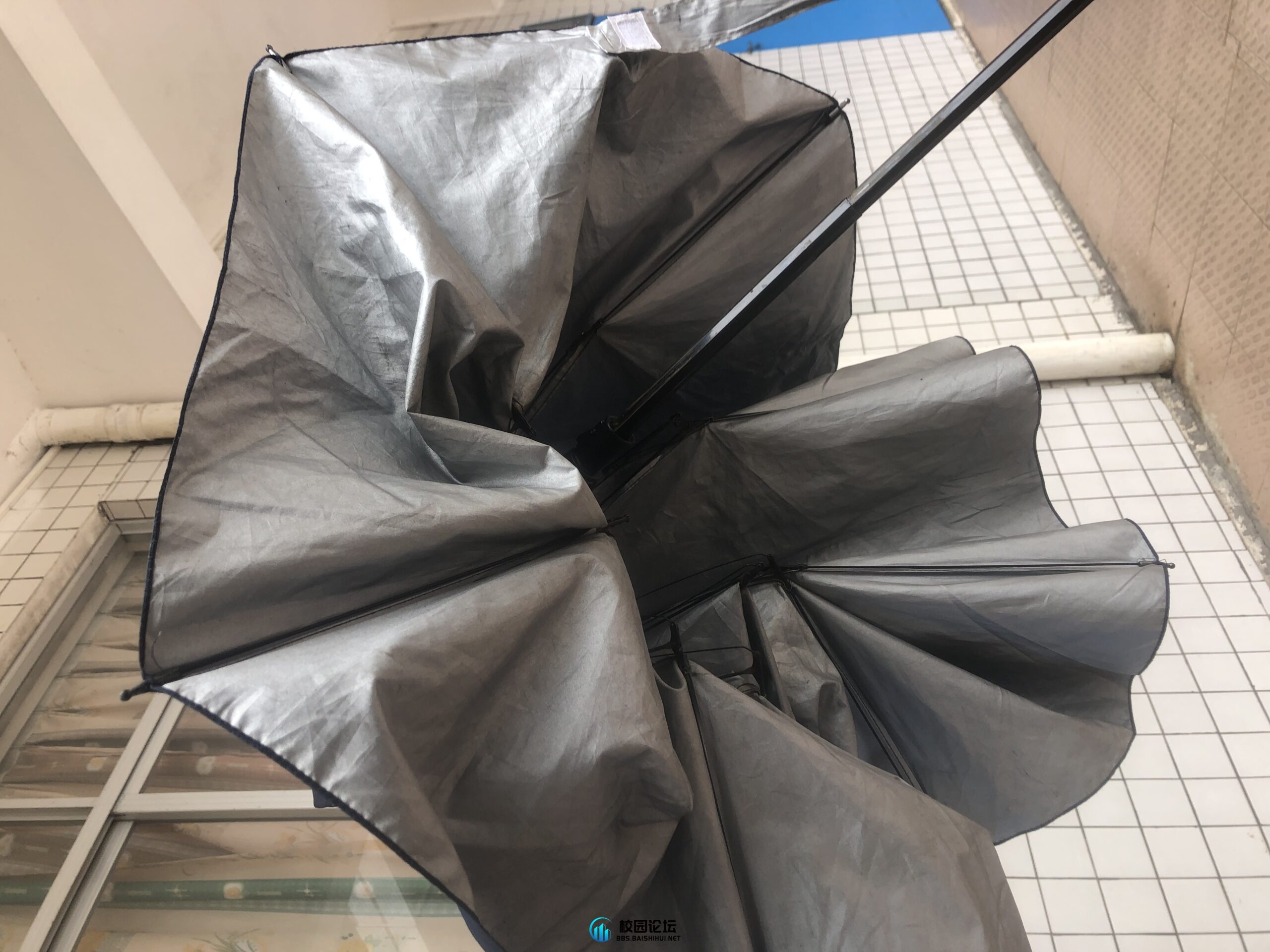 这把生锈的半壁江山是谁的 - 校园论坛