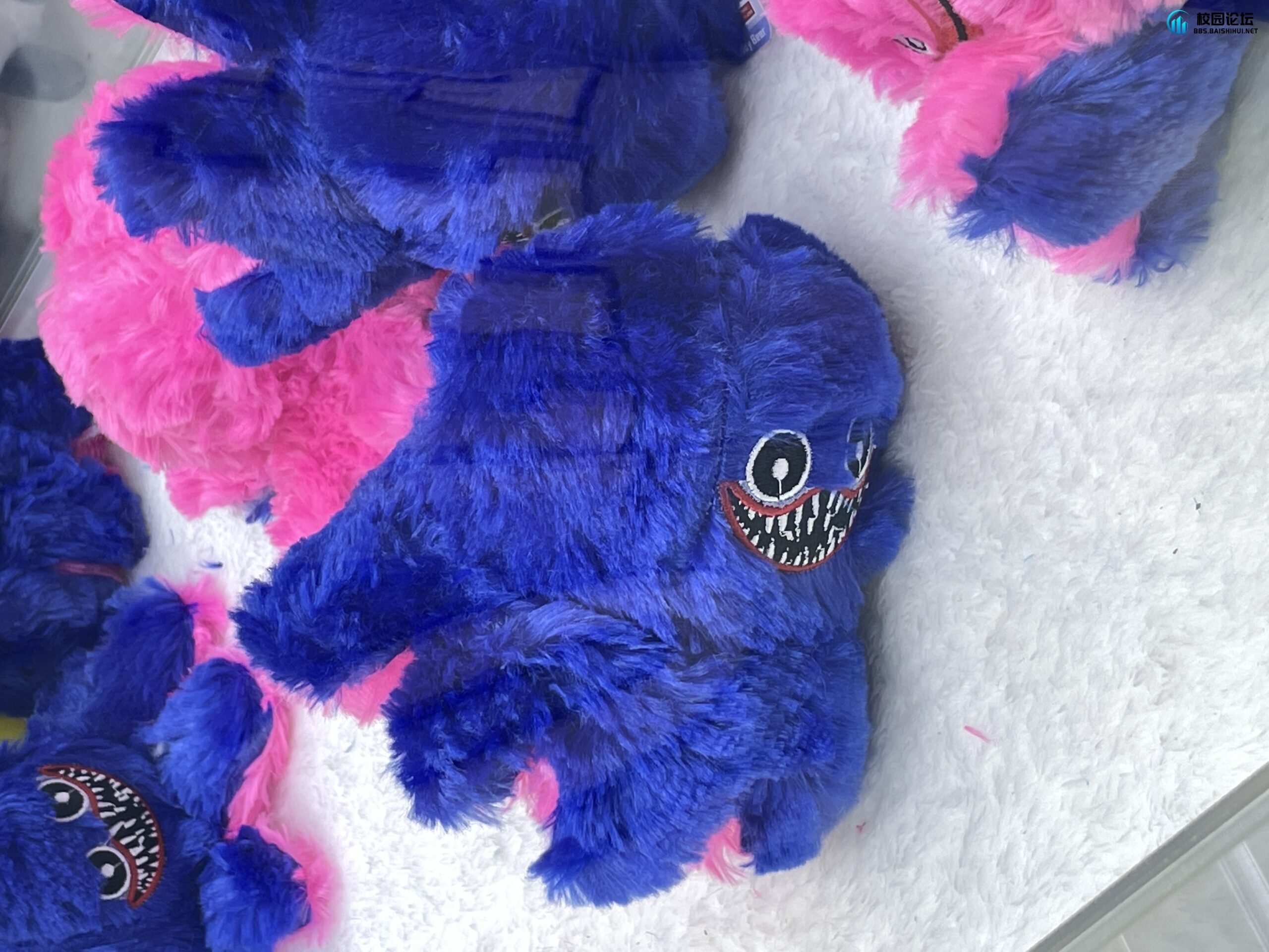 绿色椰树汁的头像 - 校园论坛