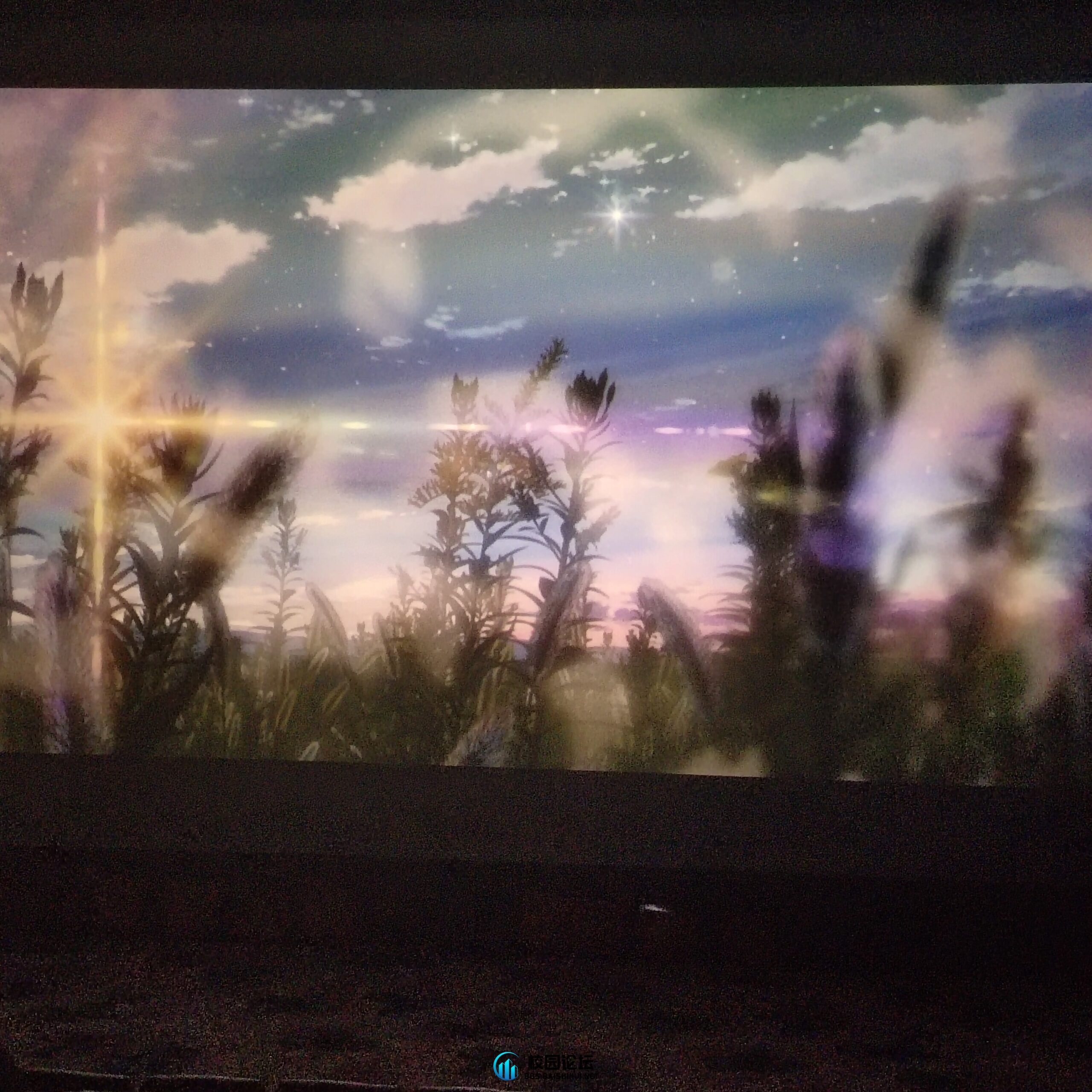 晴空蓝兮 - 校园论坛