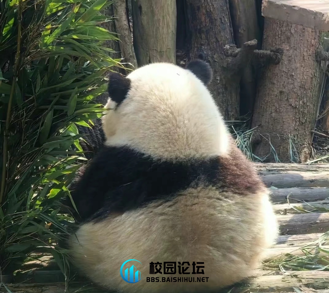 果赖.的头像 - 校园论坛