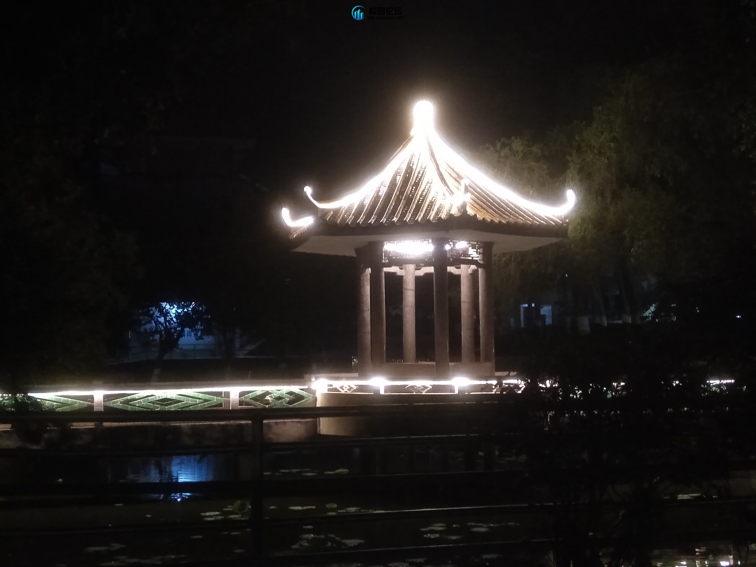 asd 137的头像 - 校园论坛