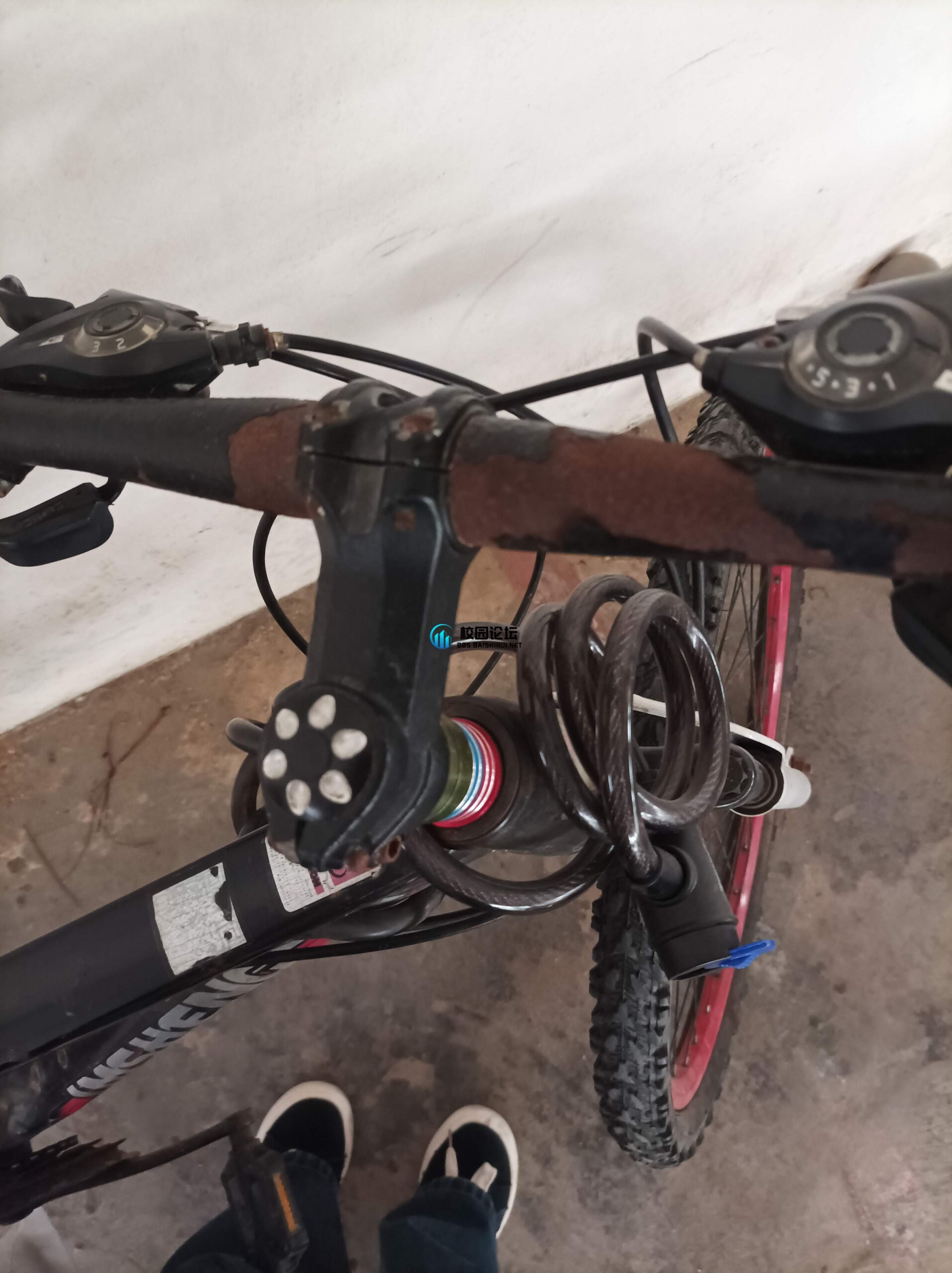 找偷车贼 - 校园论坛