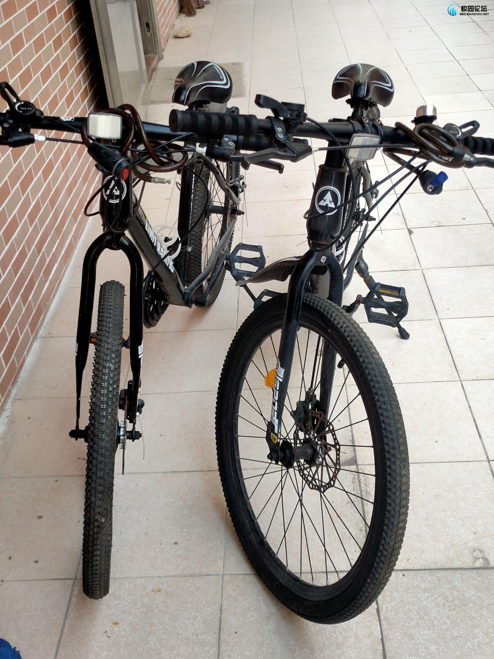 出自行车 - 校园论坛