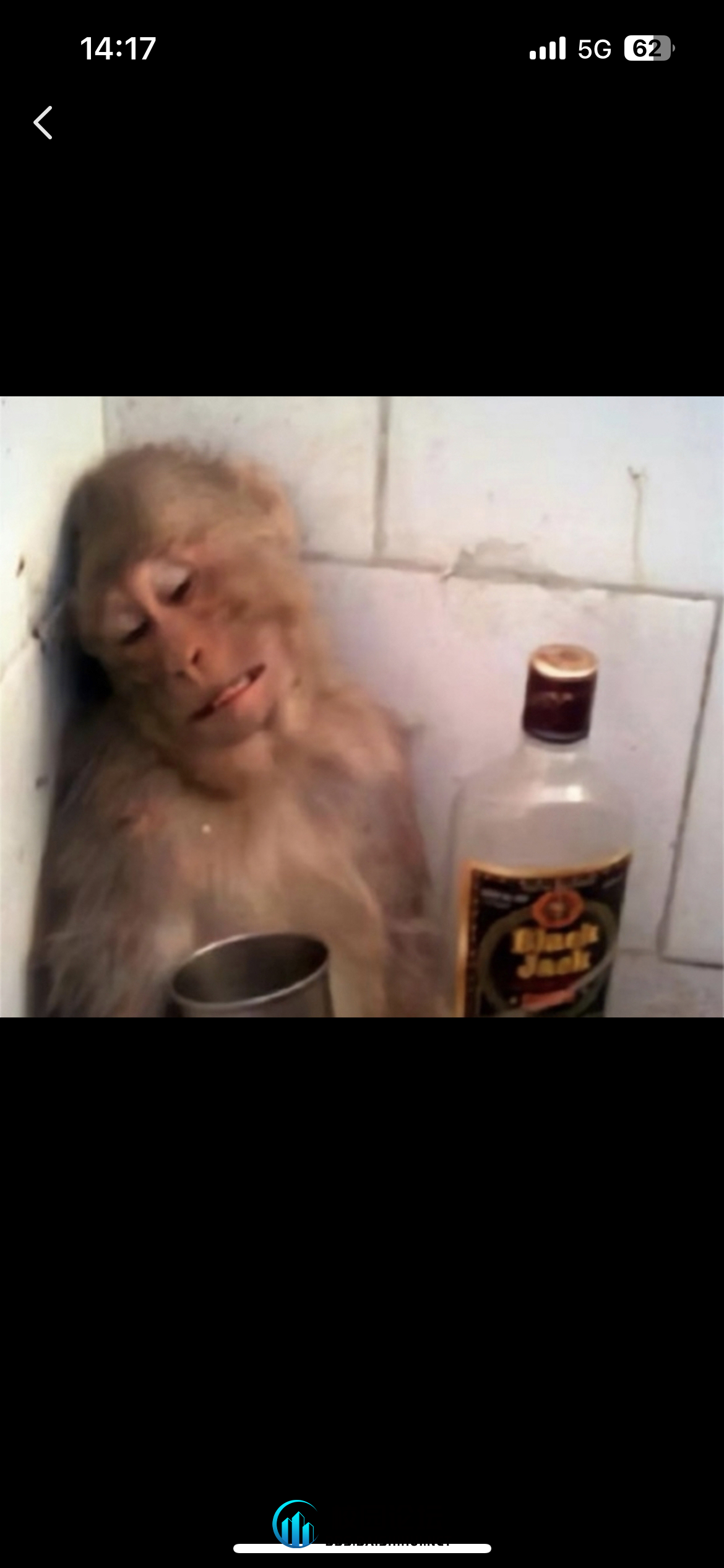 用户12946120的头像 - 校园论坛