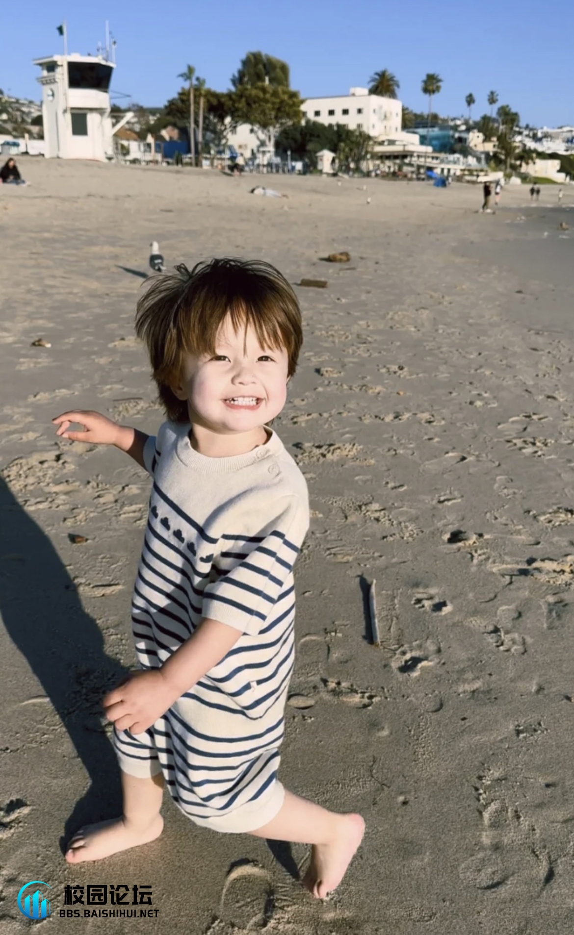 🍔🍔的头像 - 校园论坛