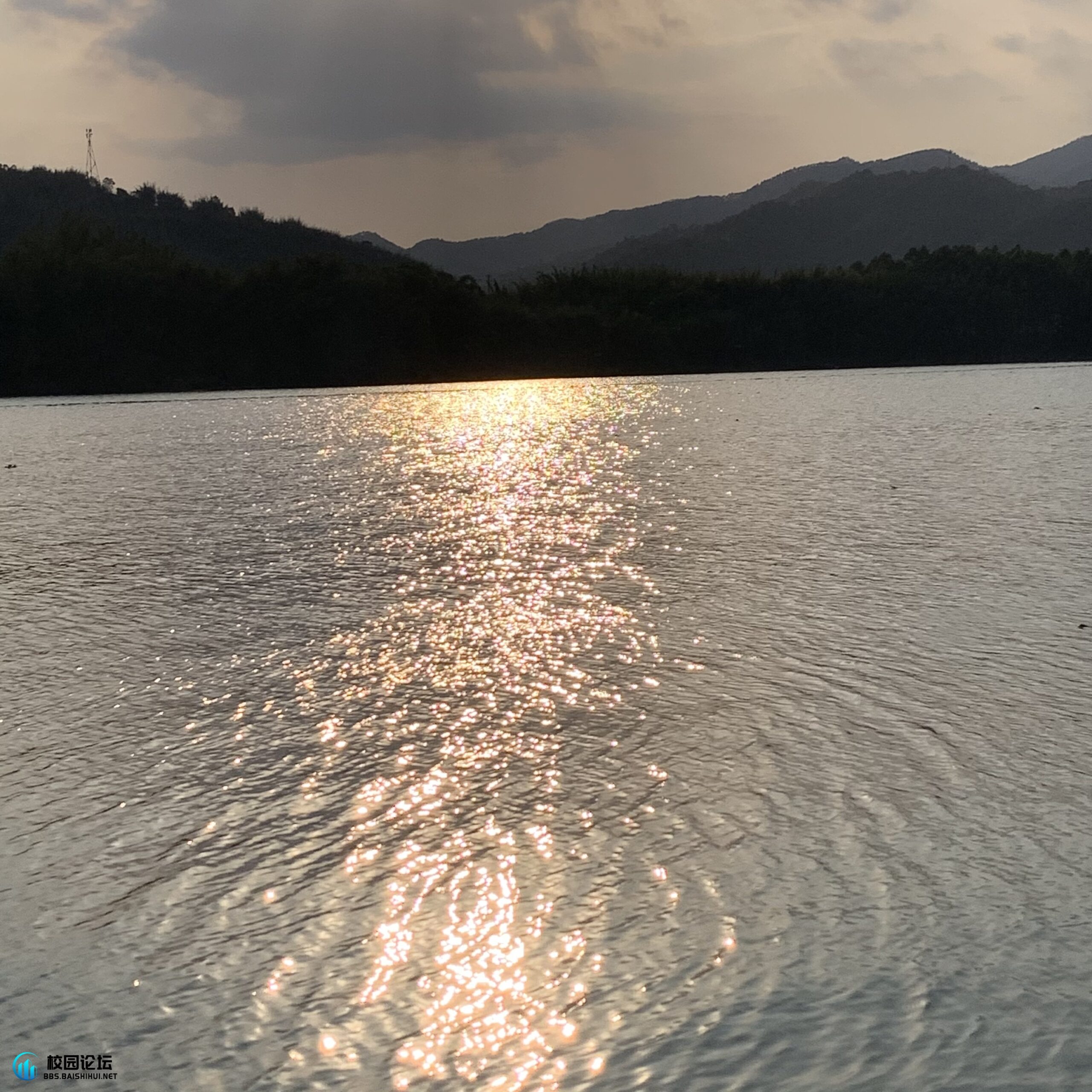 西西里的头像 - 校园论坛