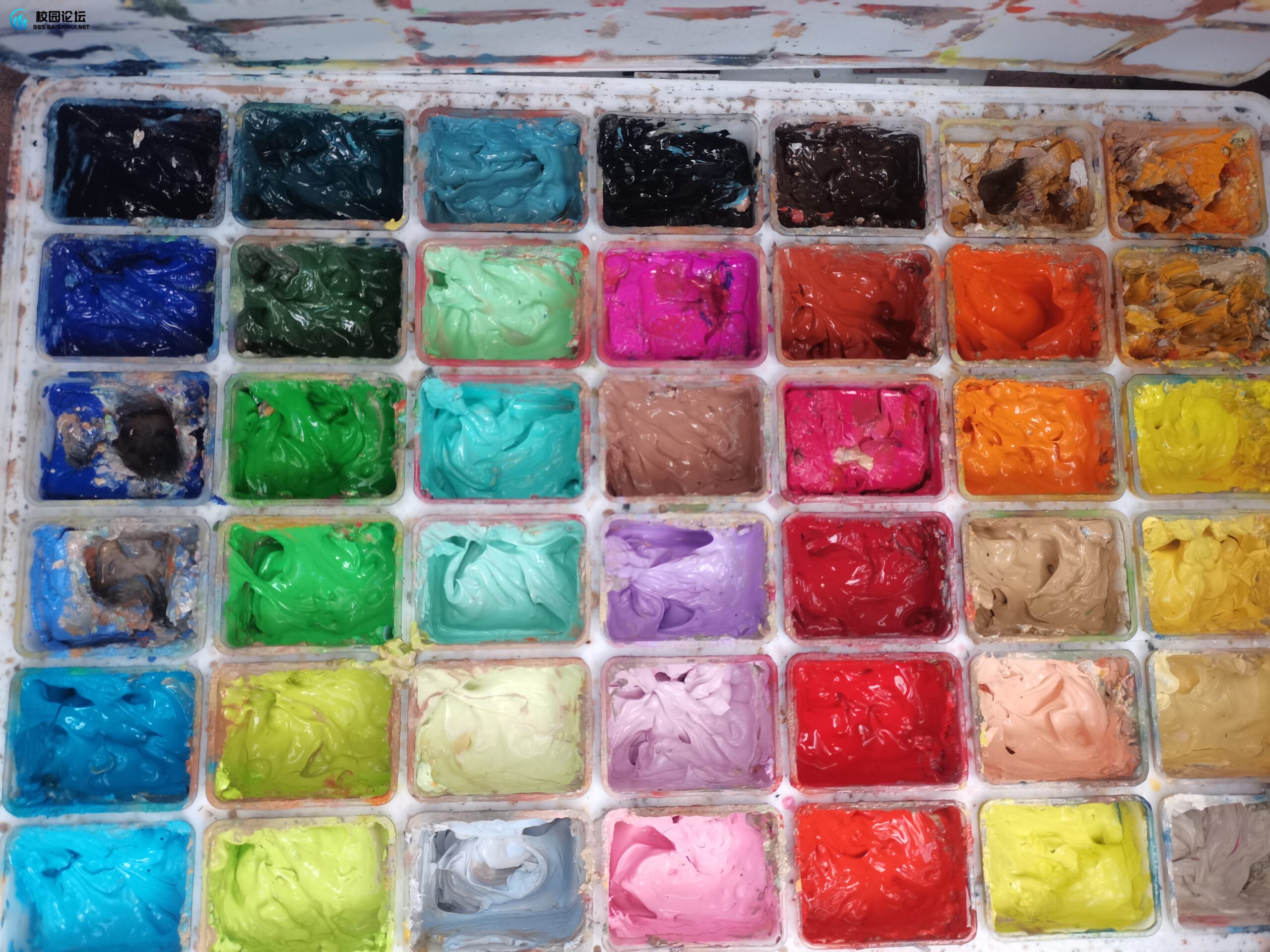 颜料出售 - 校园论坛