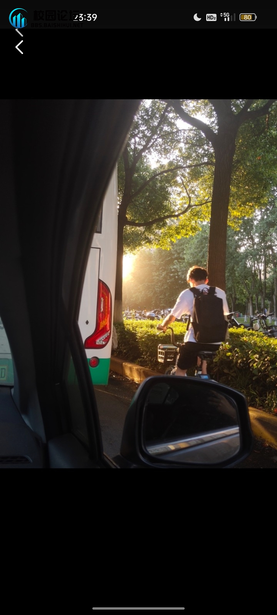 艺术文的头像 - 校园论坛