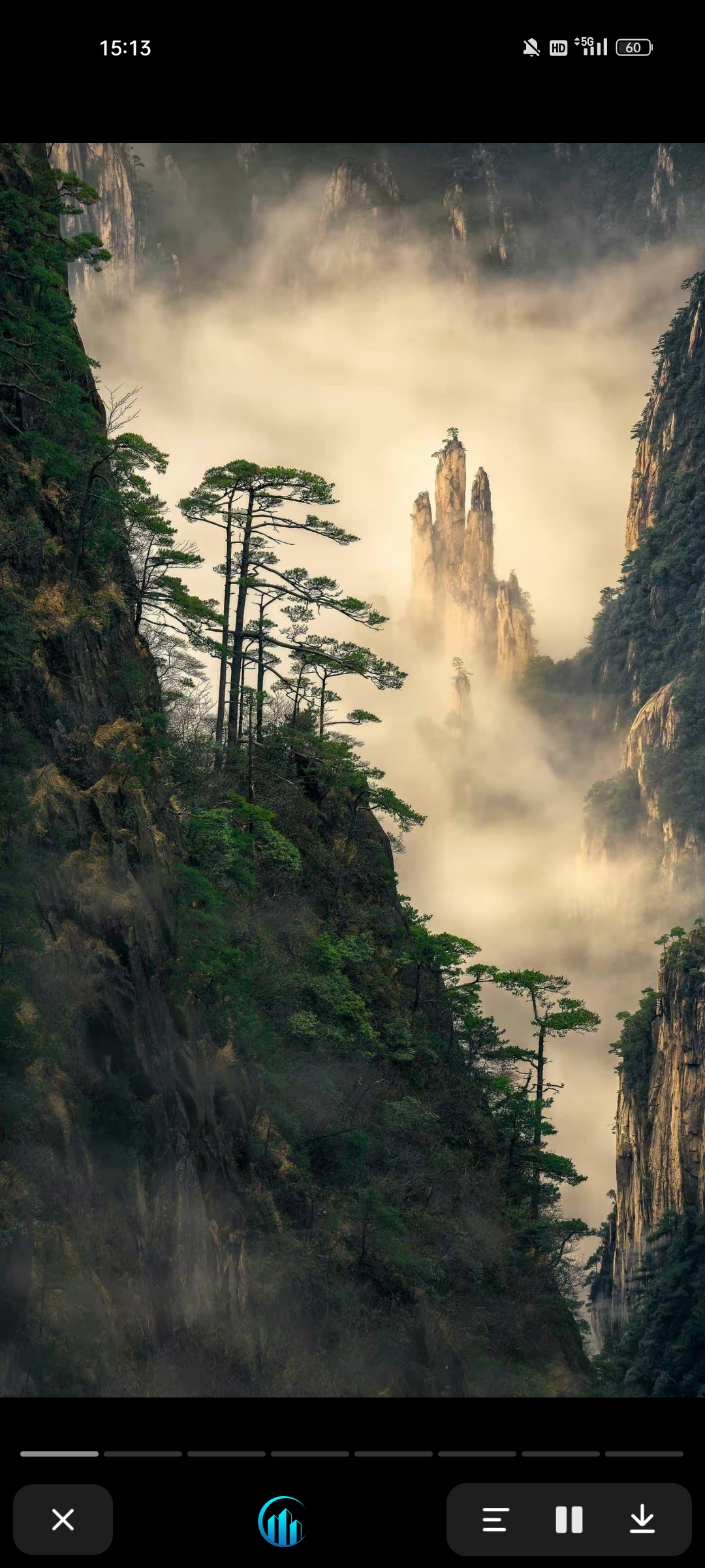 free的头像 - 校园论坛