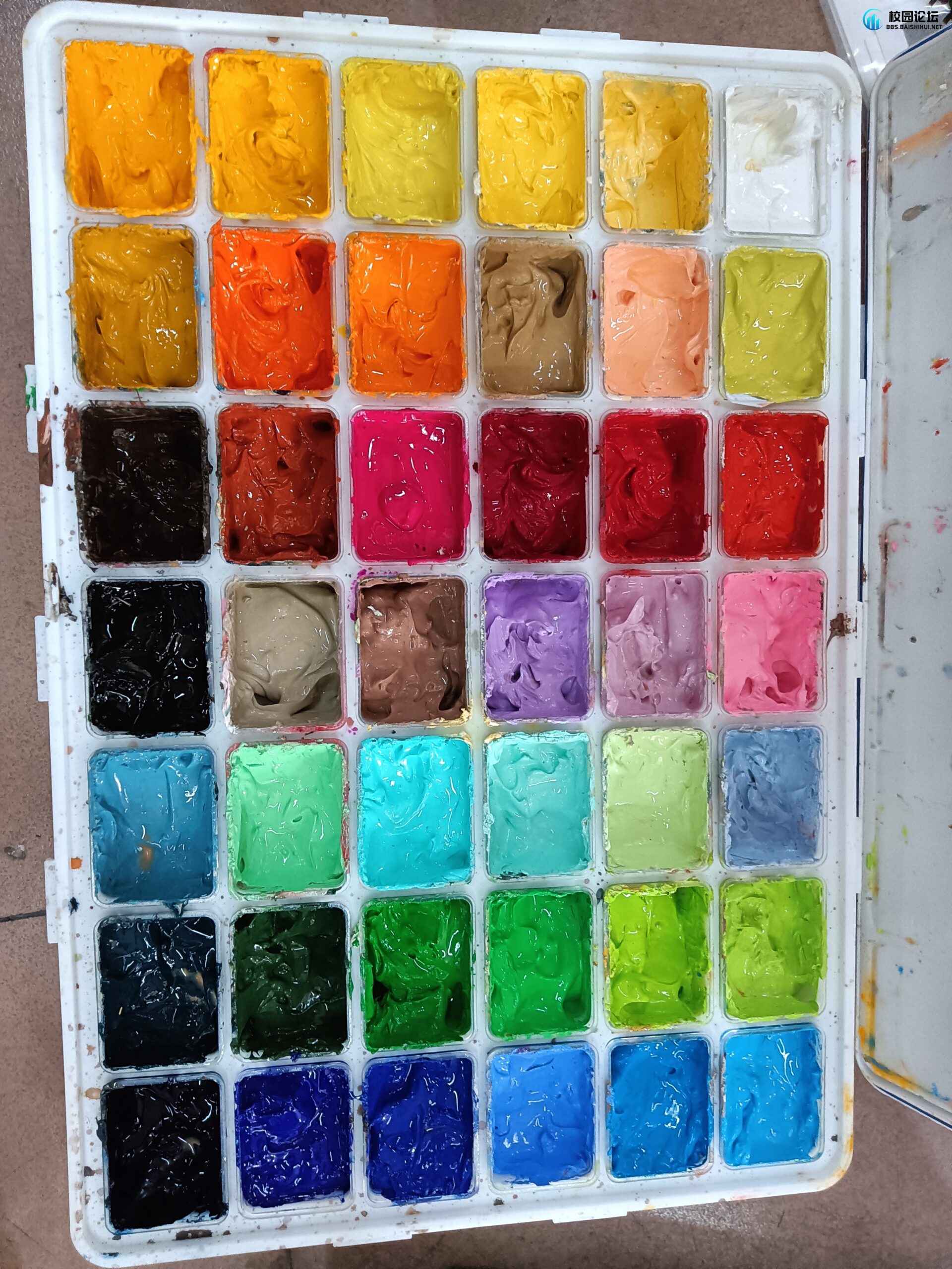 出青竹颜料 送图二 - 校园论坛