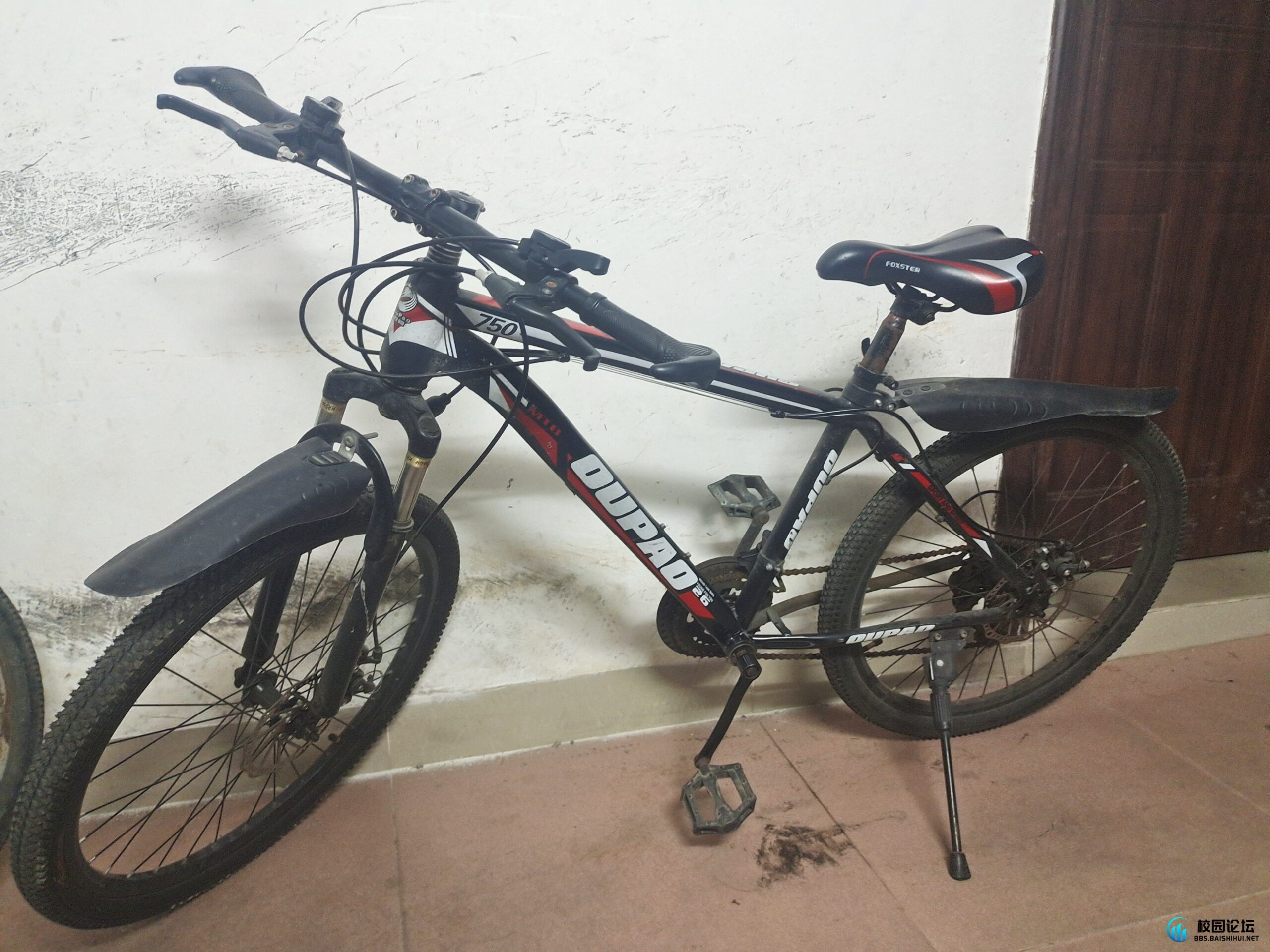 出自行车 - 校园论坛