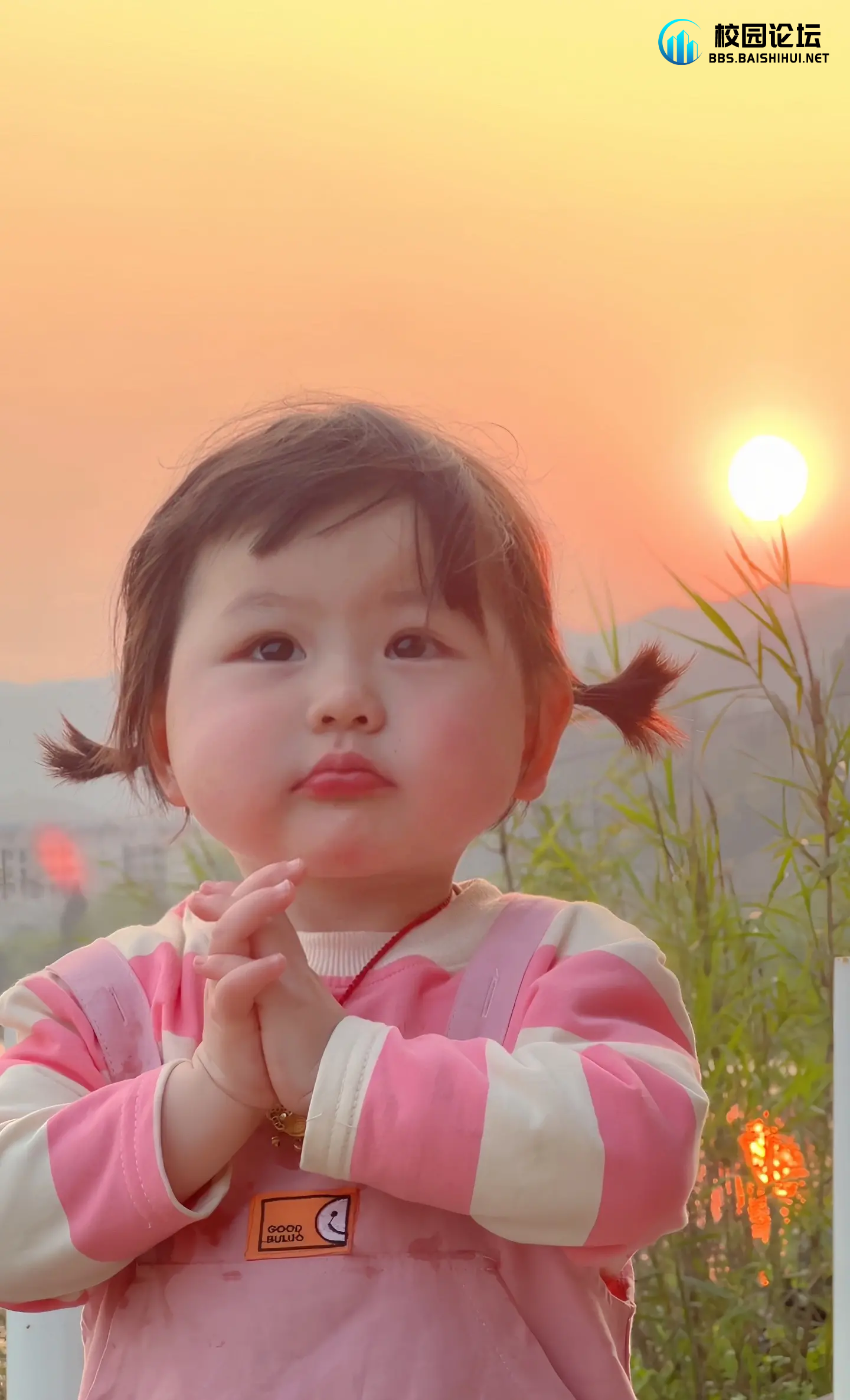 ABAB的头像 - 校园论坛