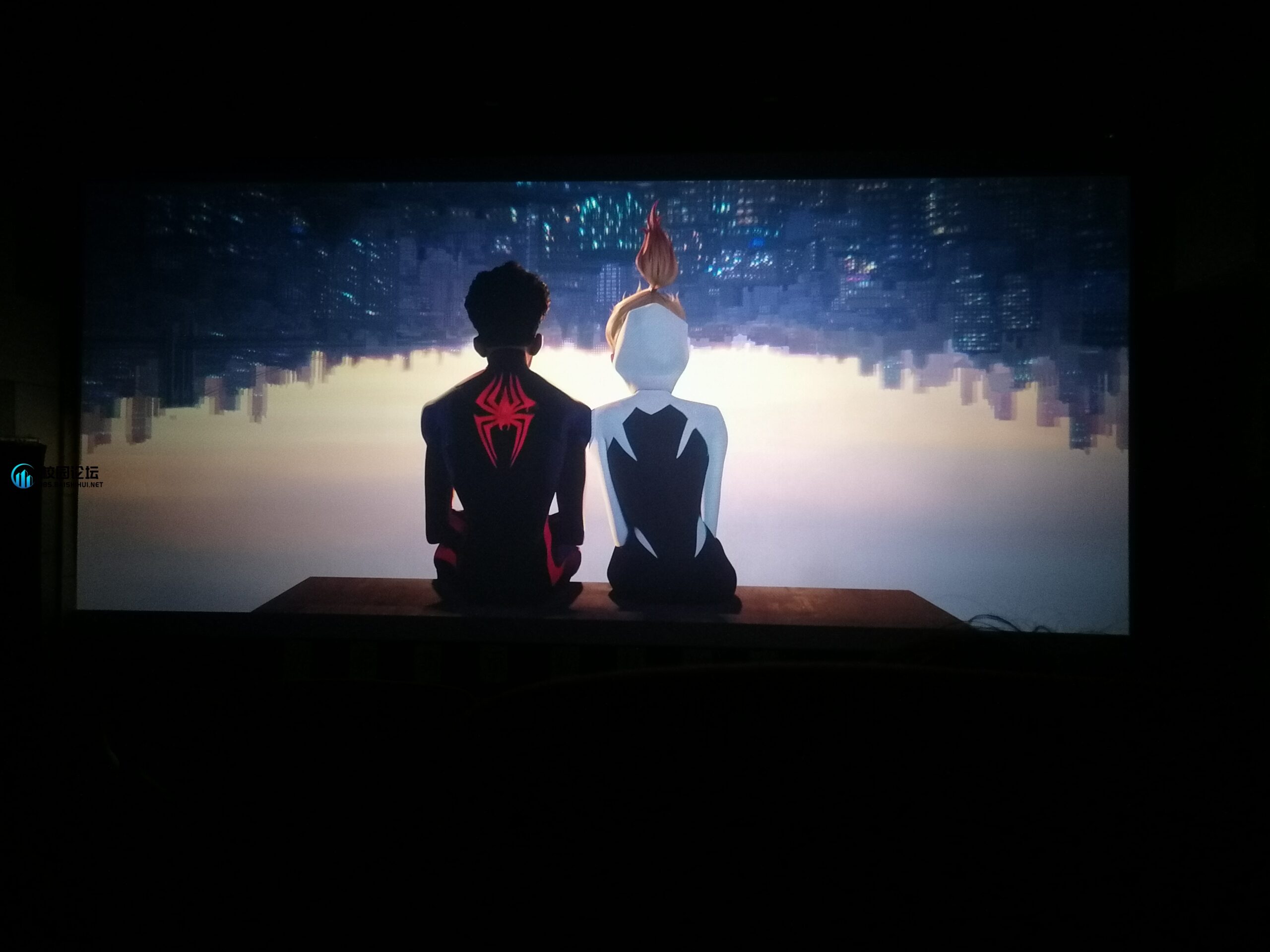 TiAmo的头像 - 校园论坛