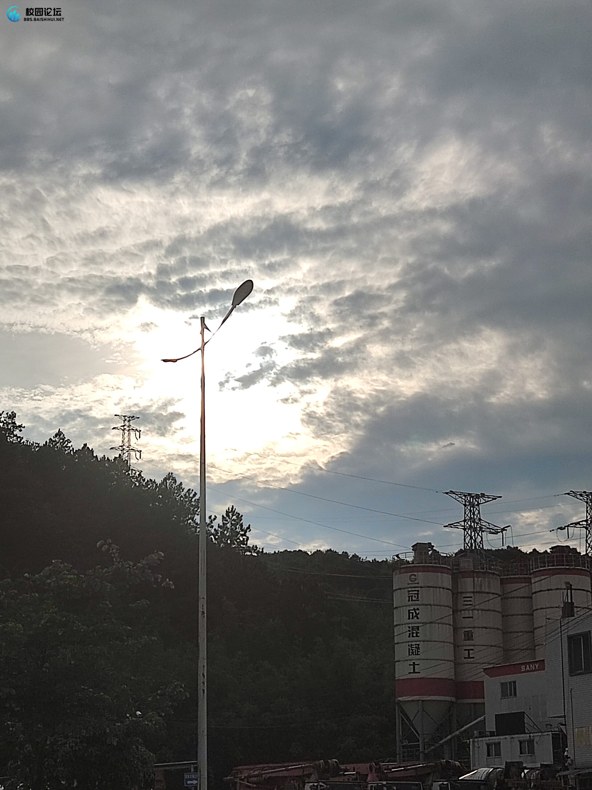 某某L的头像 - 校园论坛