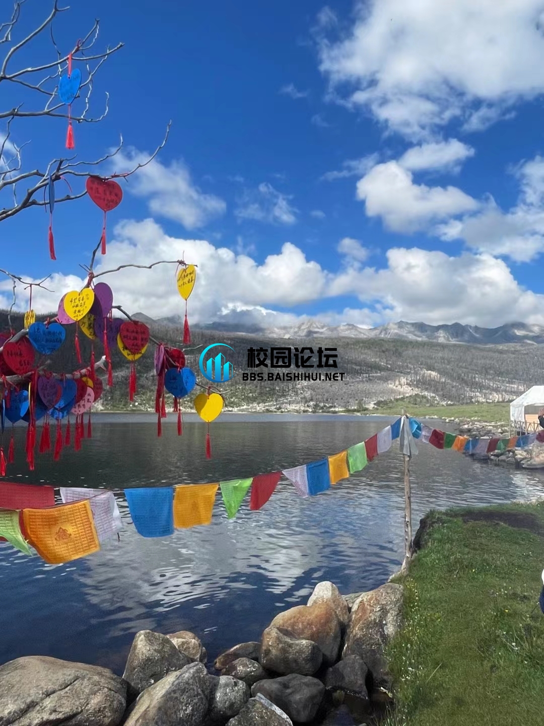 感受路 追求自由 - 校园论坛