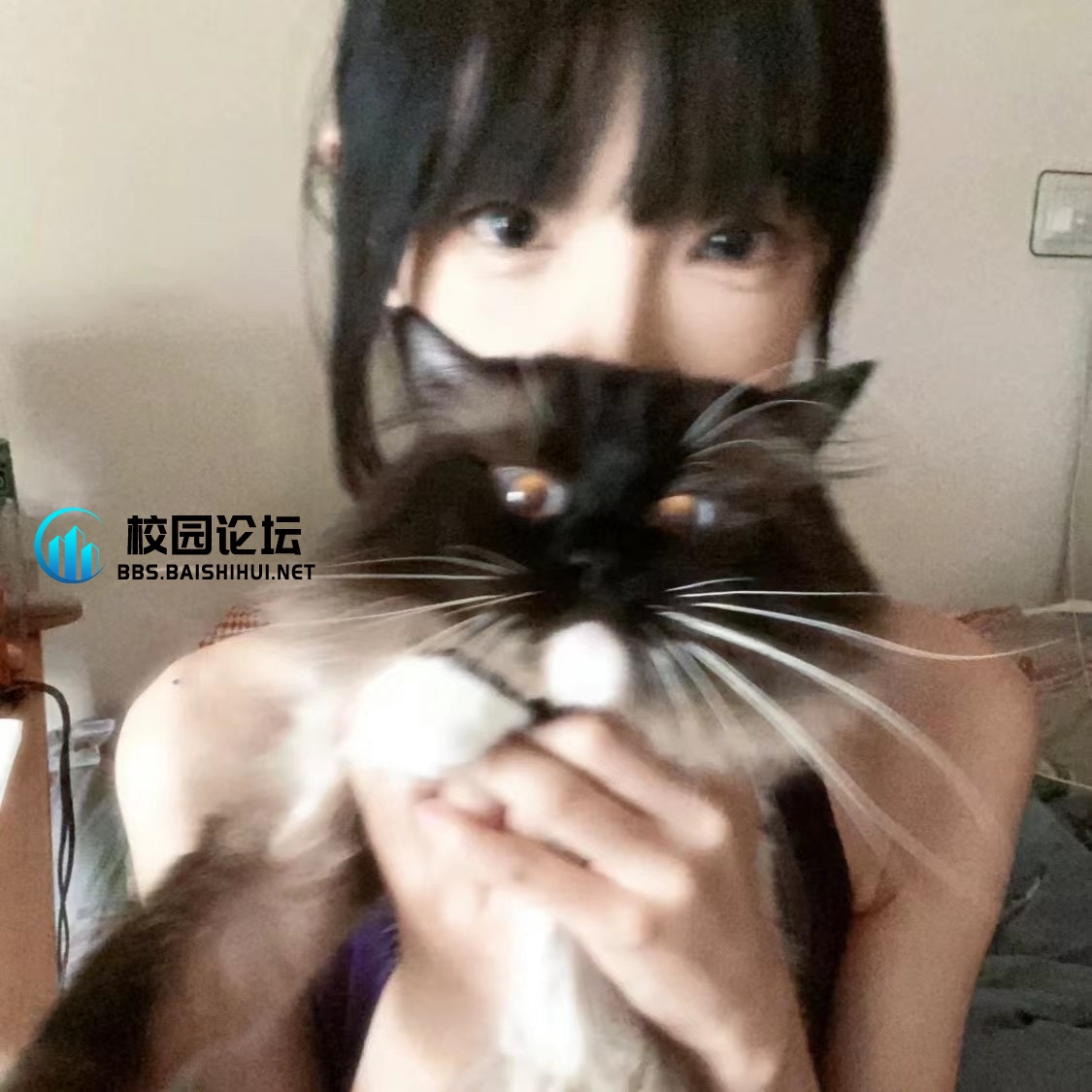 聆听的头像 - 校园论坛