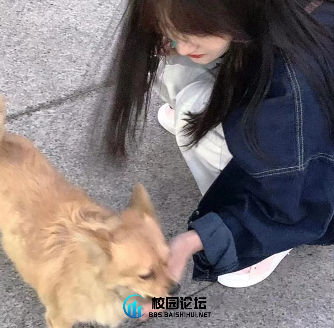 吃不吃葡萄的头像 - 校园论坛