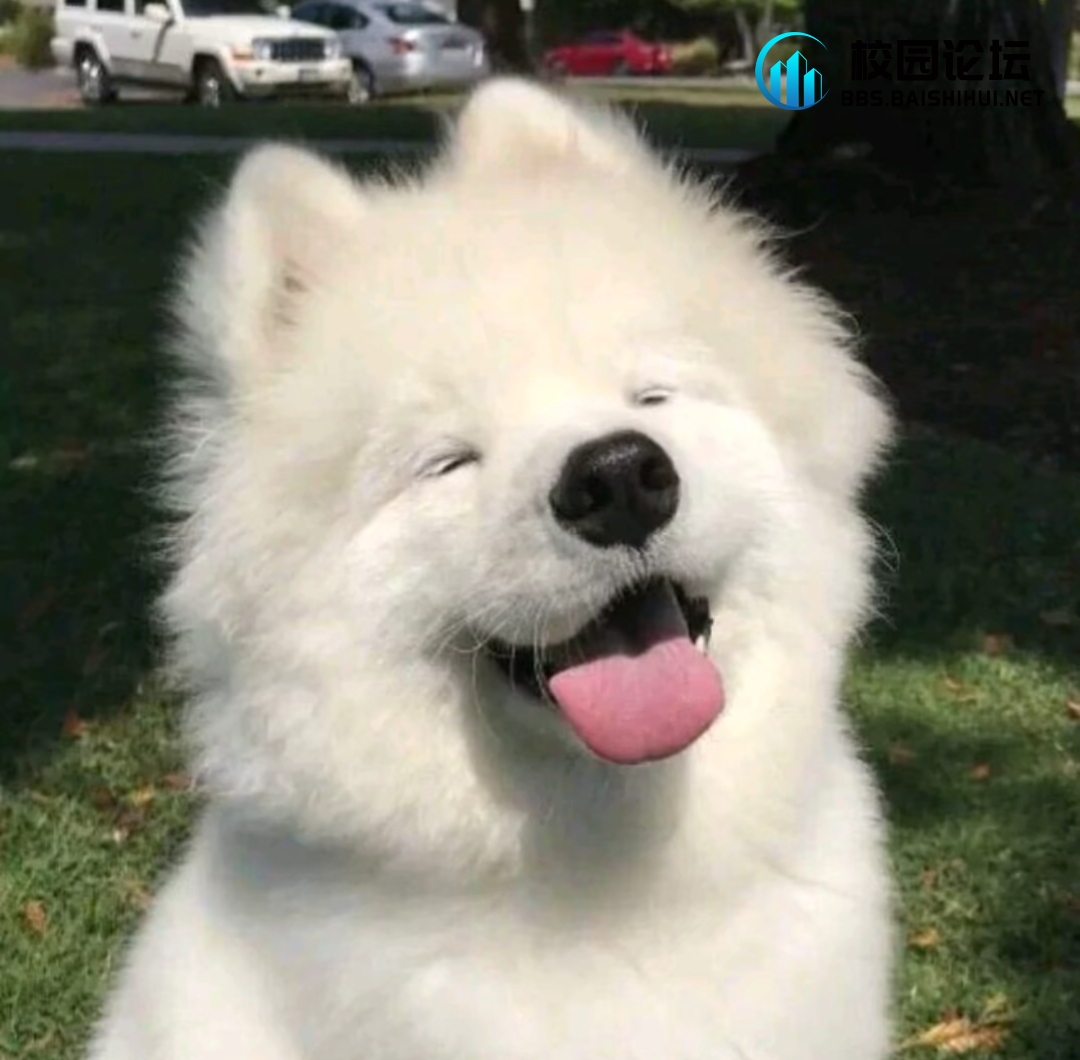 happy的头像 - 校园论坛