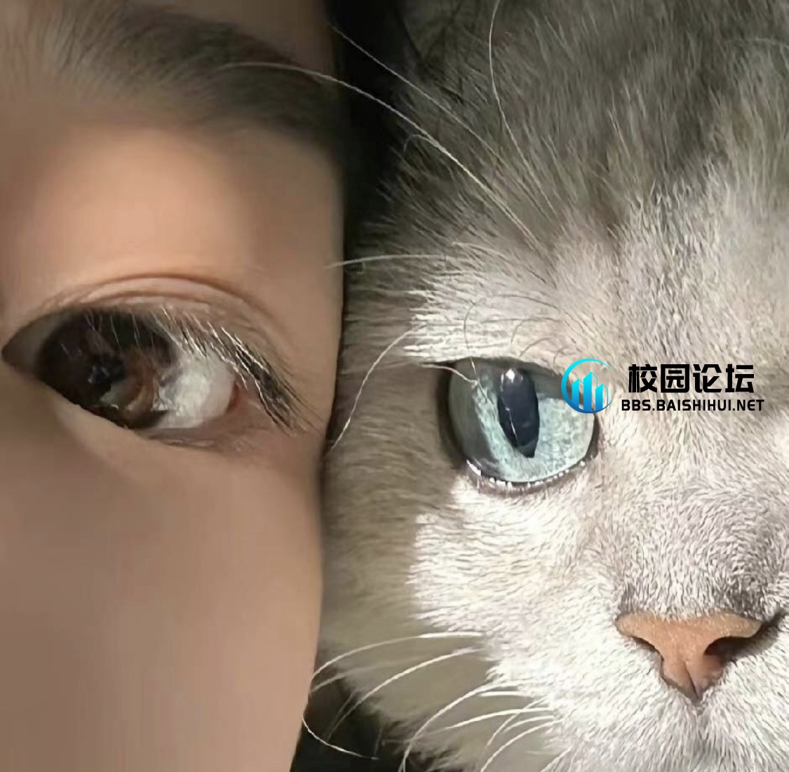 Cris.的头像 - 校园论坛