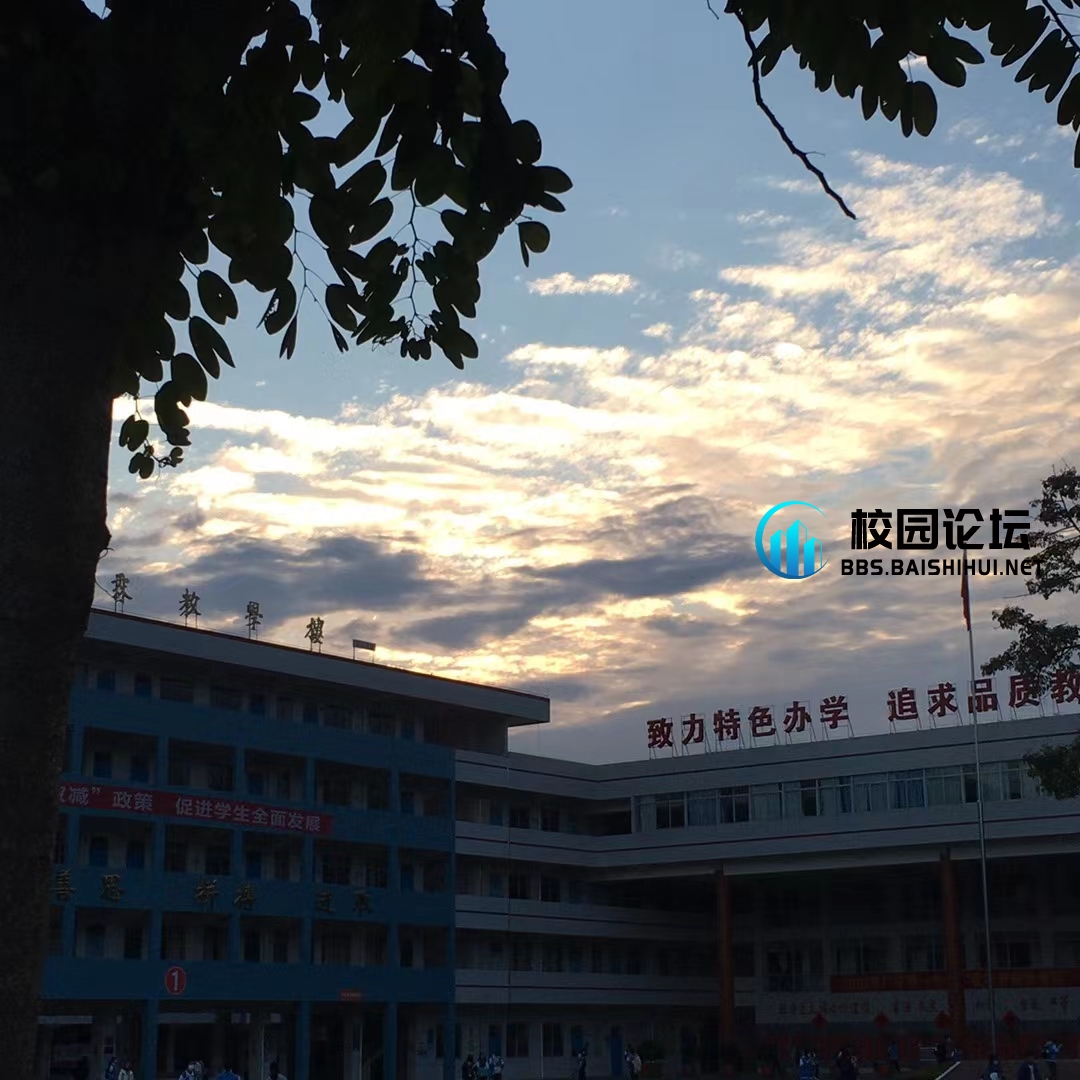 生日蛋糕 - 校园论坛