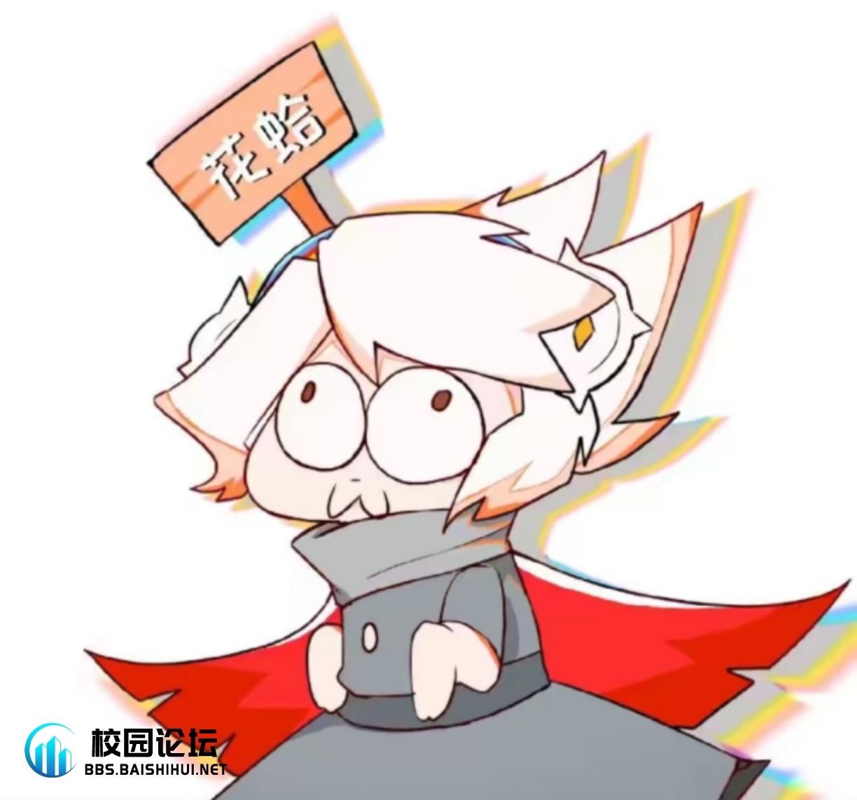 江念白的头像 - 校园论坛