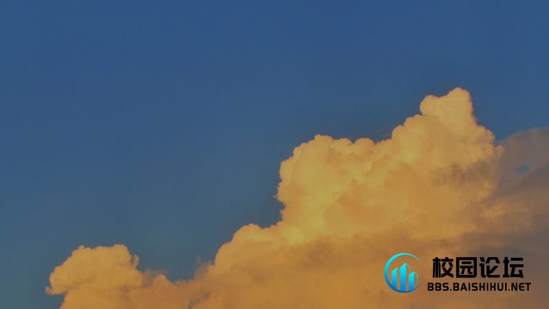 竹子的头像 - 校园论坛